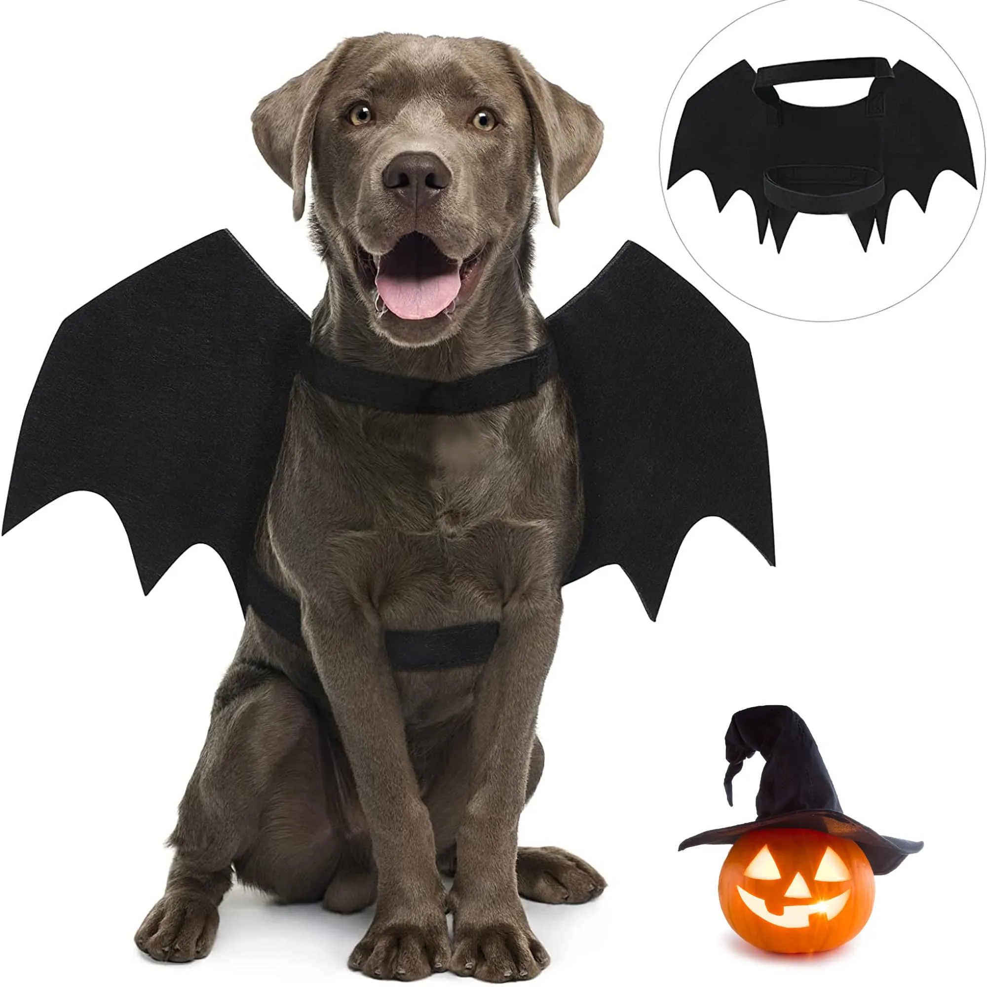 CEASELESLY Costume Ali di Pipistrello da Vampiro per Cani e Gatti, Nero - immagine 1