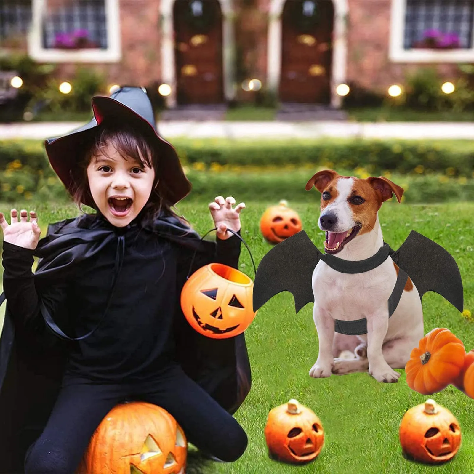 CEASELESLY Costume Ali di Pipistrello da Vampiro per Cani e Gatti, Nero - immagine 4