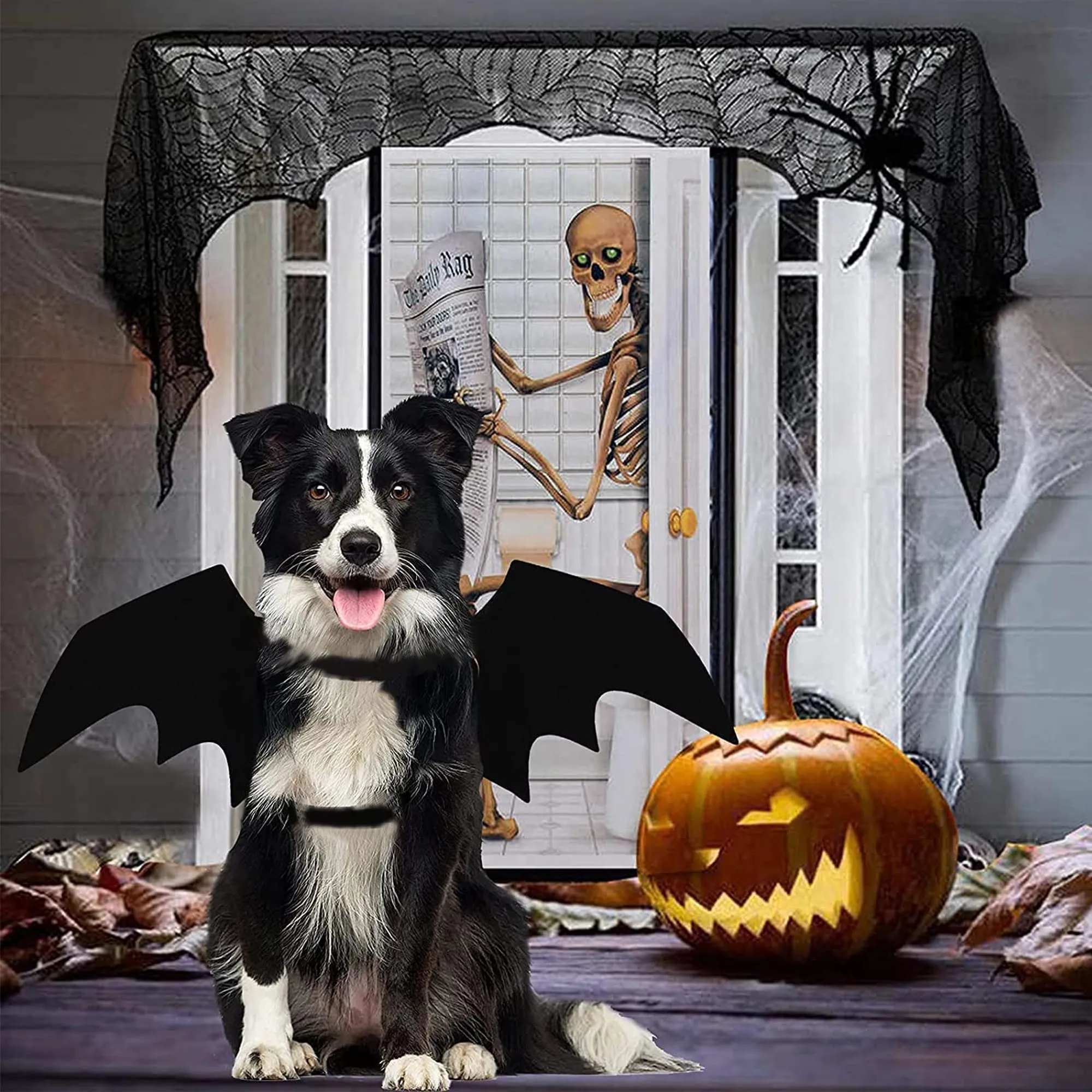 CEASELESLY Costume Ali di Pipistrello da Vampiro per Cani e Gatti, Nero - immagine 5