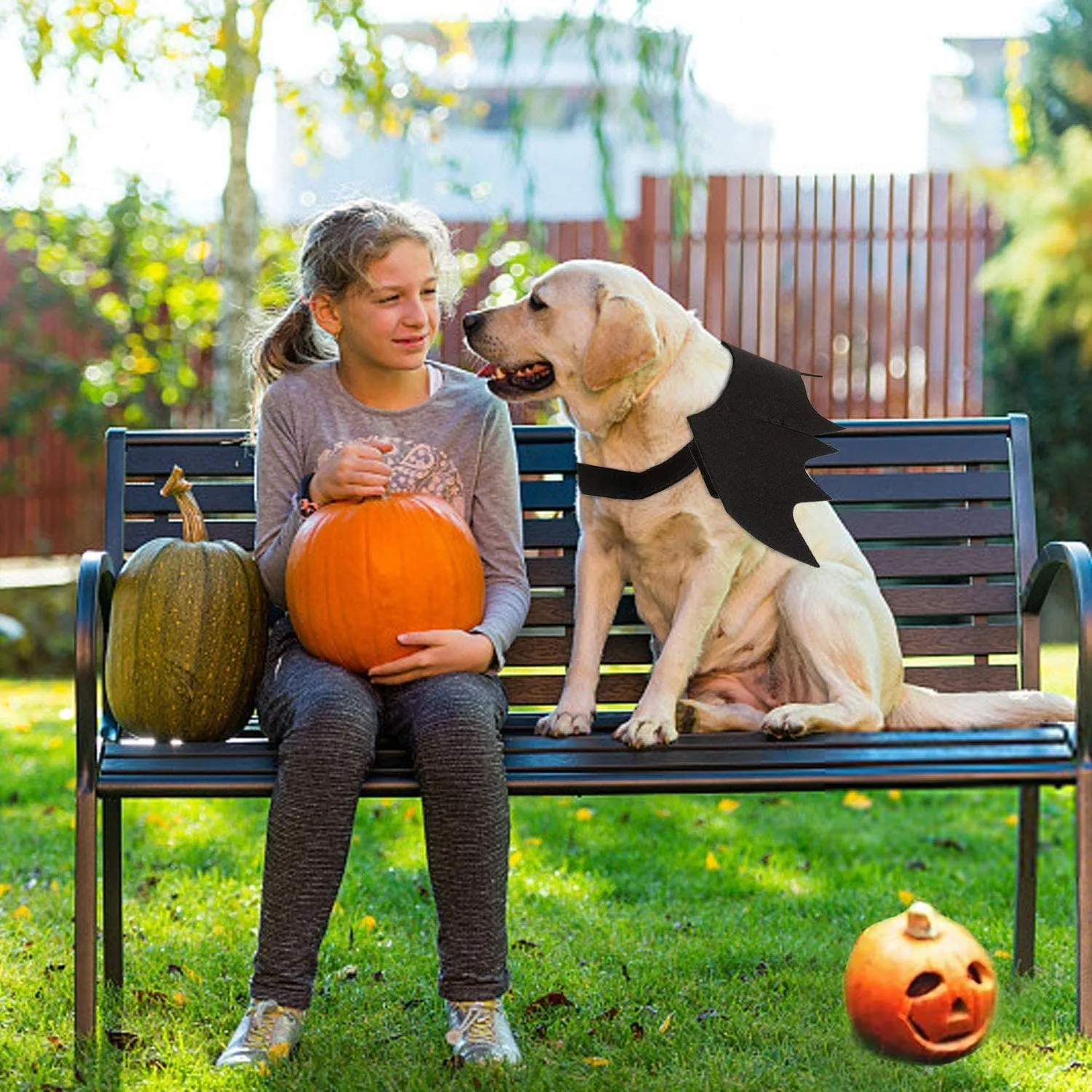 CEASELESLY Costume Ali di Pipistrello da Vampiro per Cani e Gatti, Nero - immagine 6