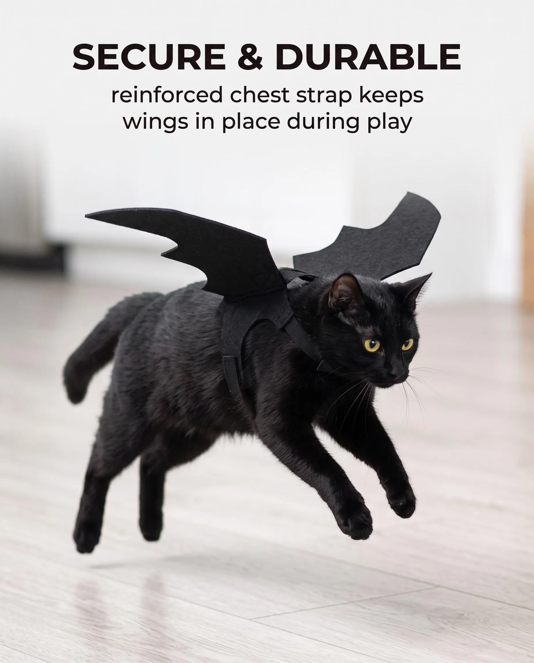 GBEDFO Costume da Pipistrello per Gatti e Piccoli Cani, Nero - immagine 6