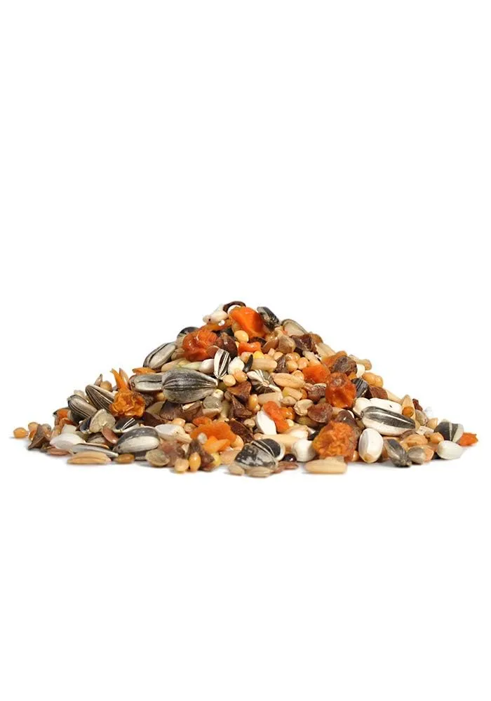 RIO Mangime completo per pappagalli di grandi dimensioni, 1 kg - immagine 4