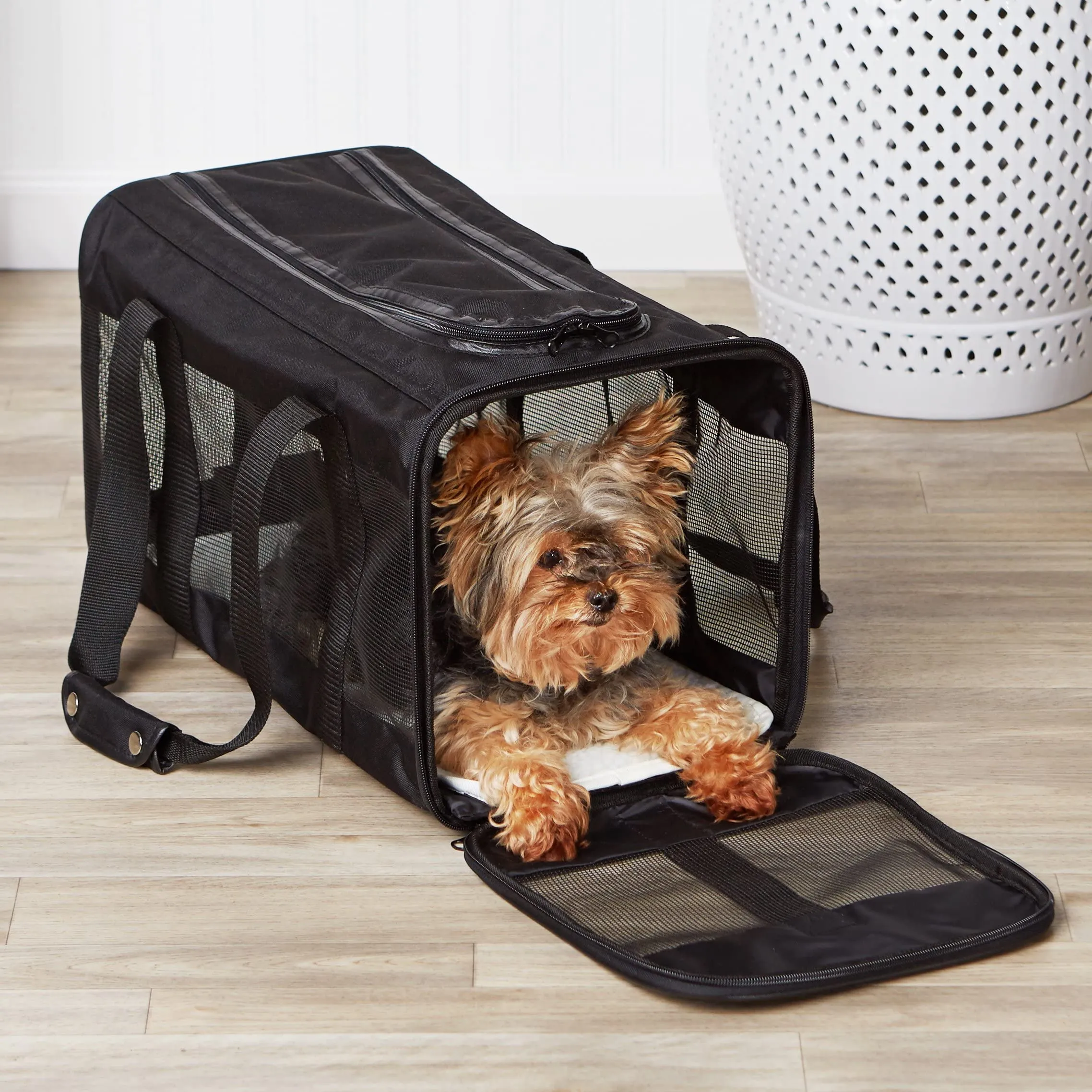 Amazon Basics Trasportino Morbido per Cani e Gatti, Grande, Nero, 50 x 26 x 28 cm - immagine 5