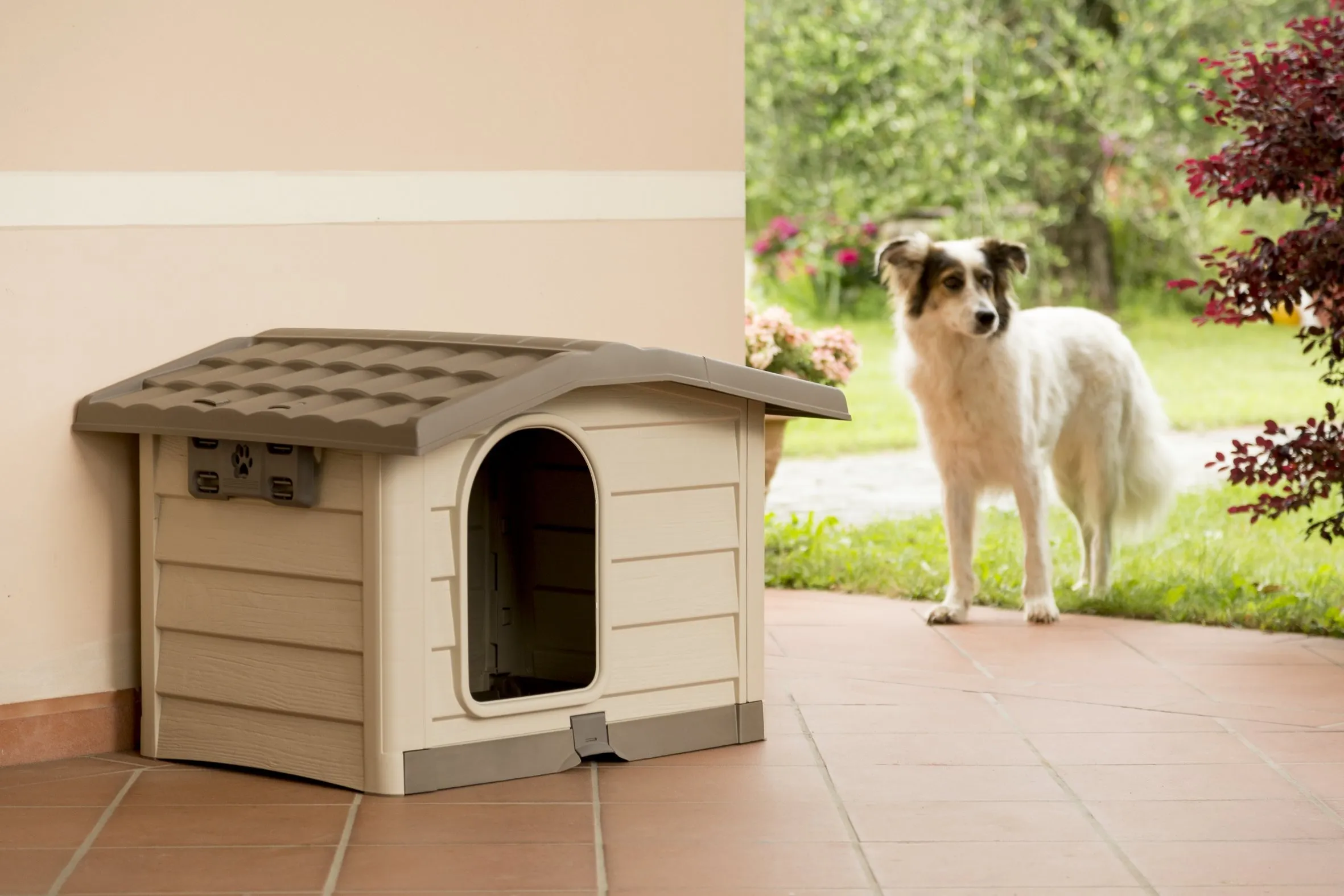 Bama Bungalow Cuccia, Beige, M - immagine 3