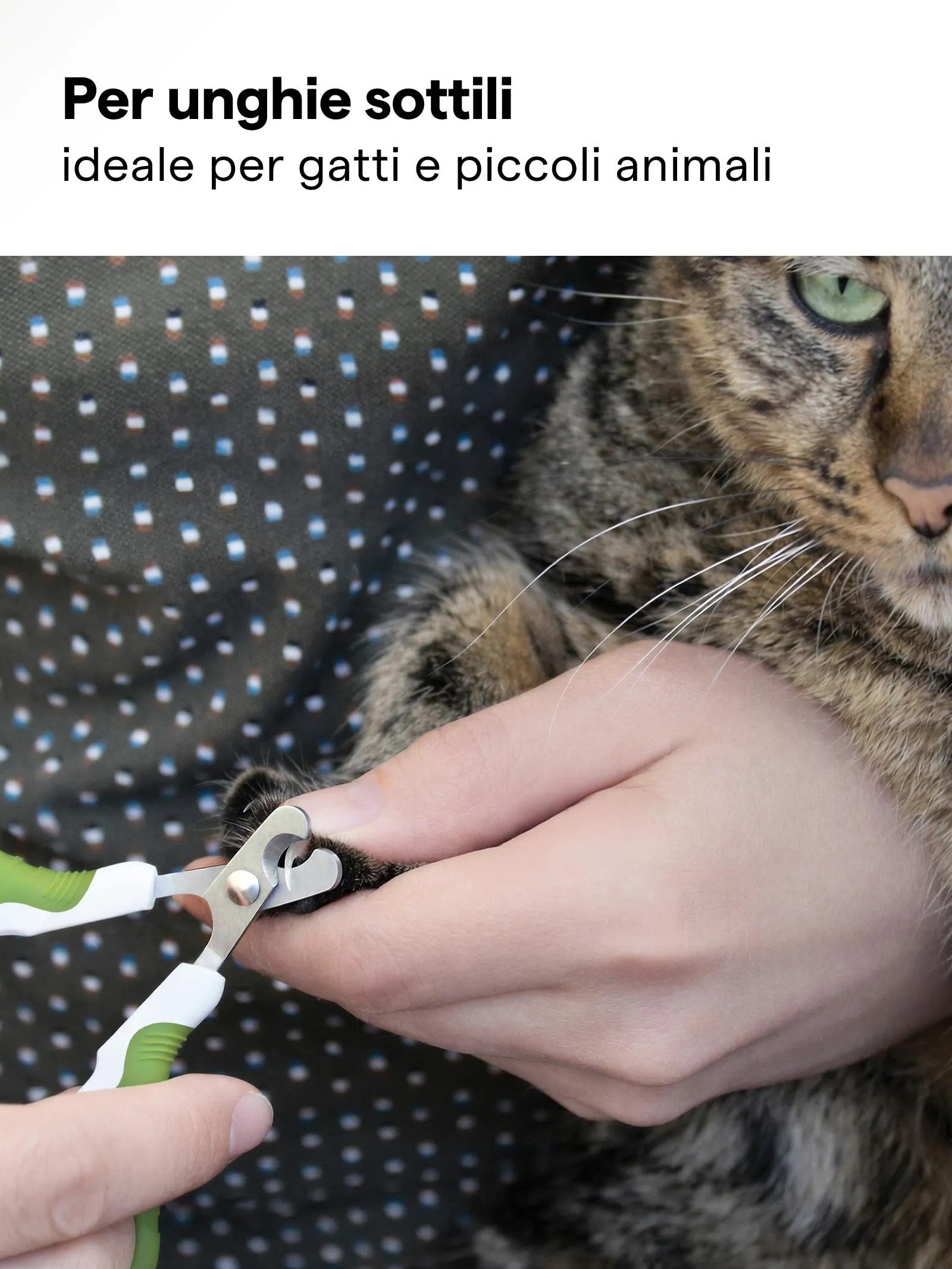SHINY PET Tagliaunghie per Gatti e Piccoli Animali TOOL5 Verde - immagine 2