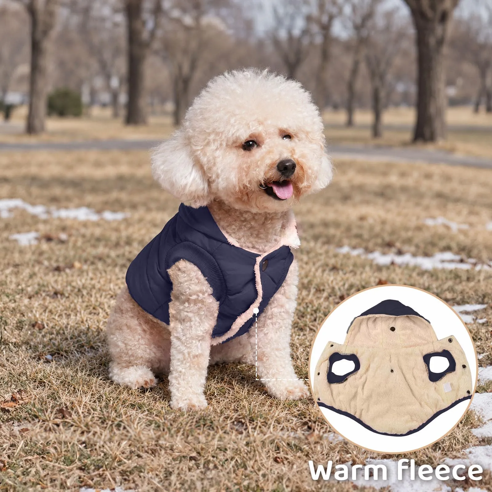 JoyDaog Cappottino Invernale per Cani con Cappuccio, Fodera in Pile, Blu, Taglia S - immagine 6