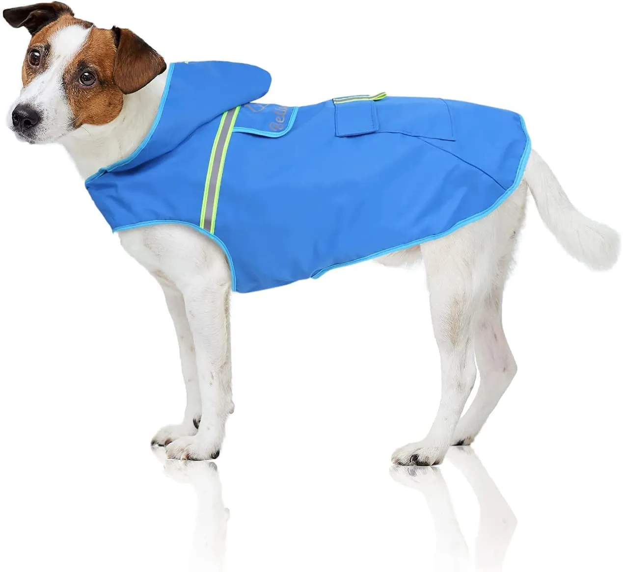 Bella & Balu Impermeabile Cane con Cappuccio e Catarifrangenti, Blu, XS - immagine 1