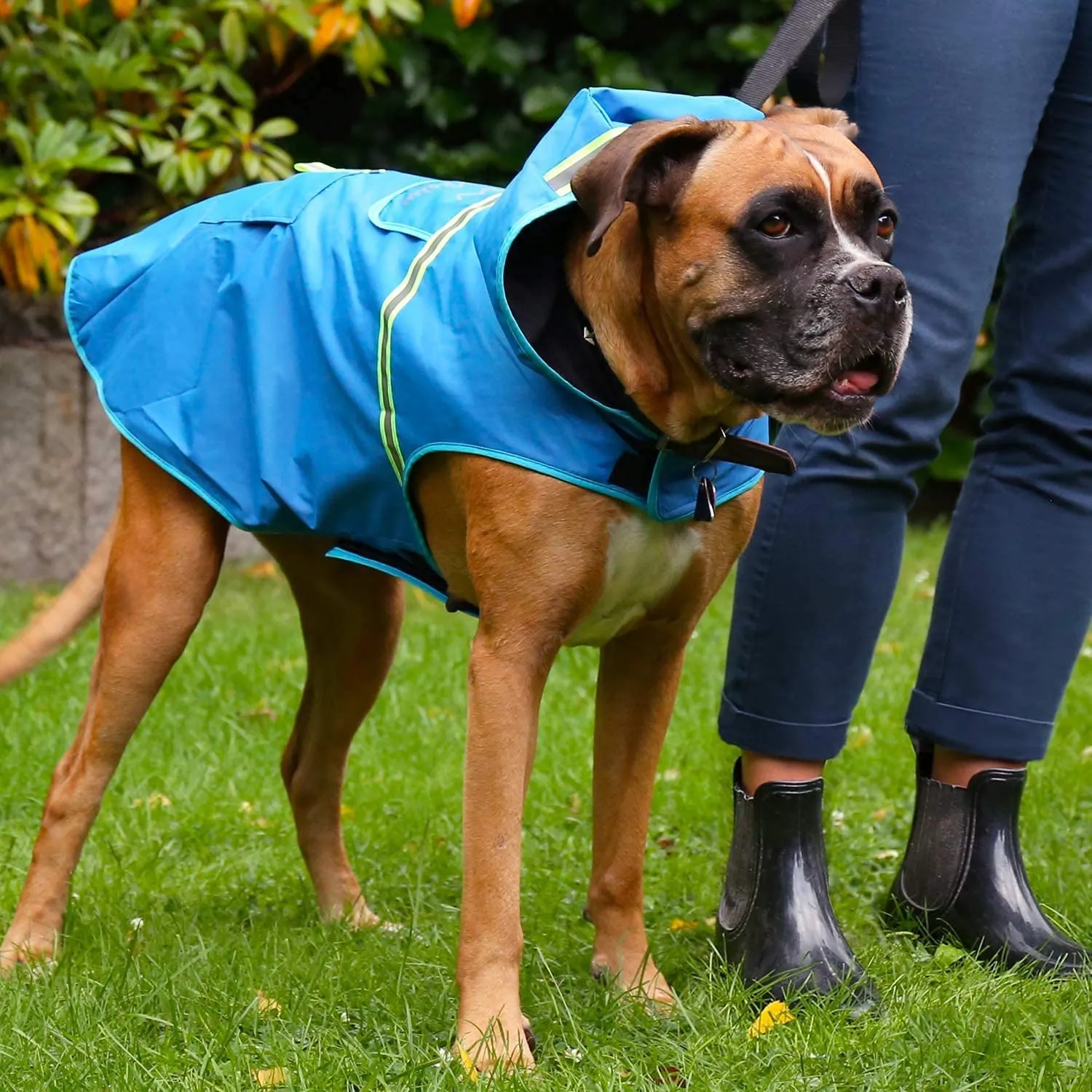 Bella & Balu Impermeabile Cane con Cappuccio e Catarifrangenti, Blu, XS - immagine 5