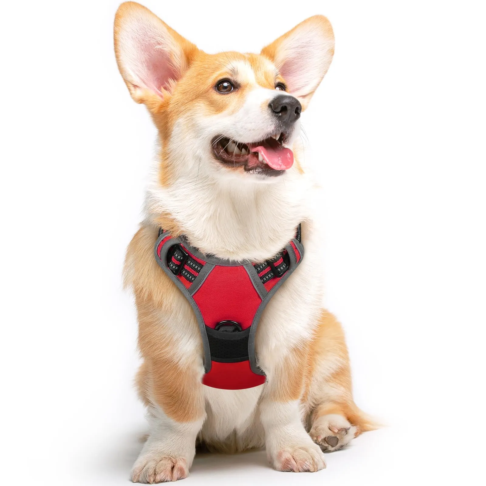 Eagloo Pettorina Cane ad H Anti Tiro, Rossa, Taglia M - immagine 1