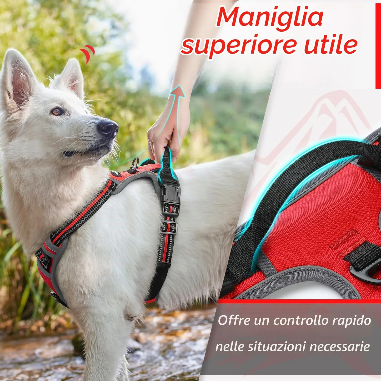 Eagloo Pettorina Cane ad H Anti Tiro, Rossa, Taglia M - immagine 5