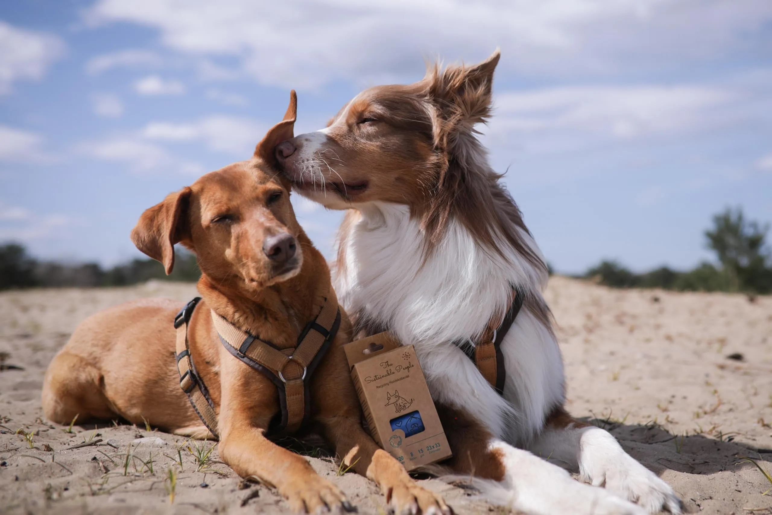 The Sustainable People Sacchetti riciclati per deiezioni canine, 120 unità (8 rotoli) - immagine 6