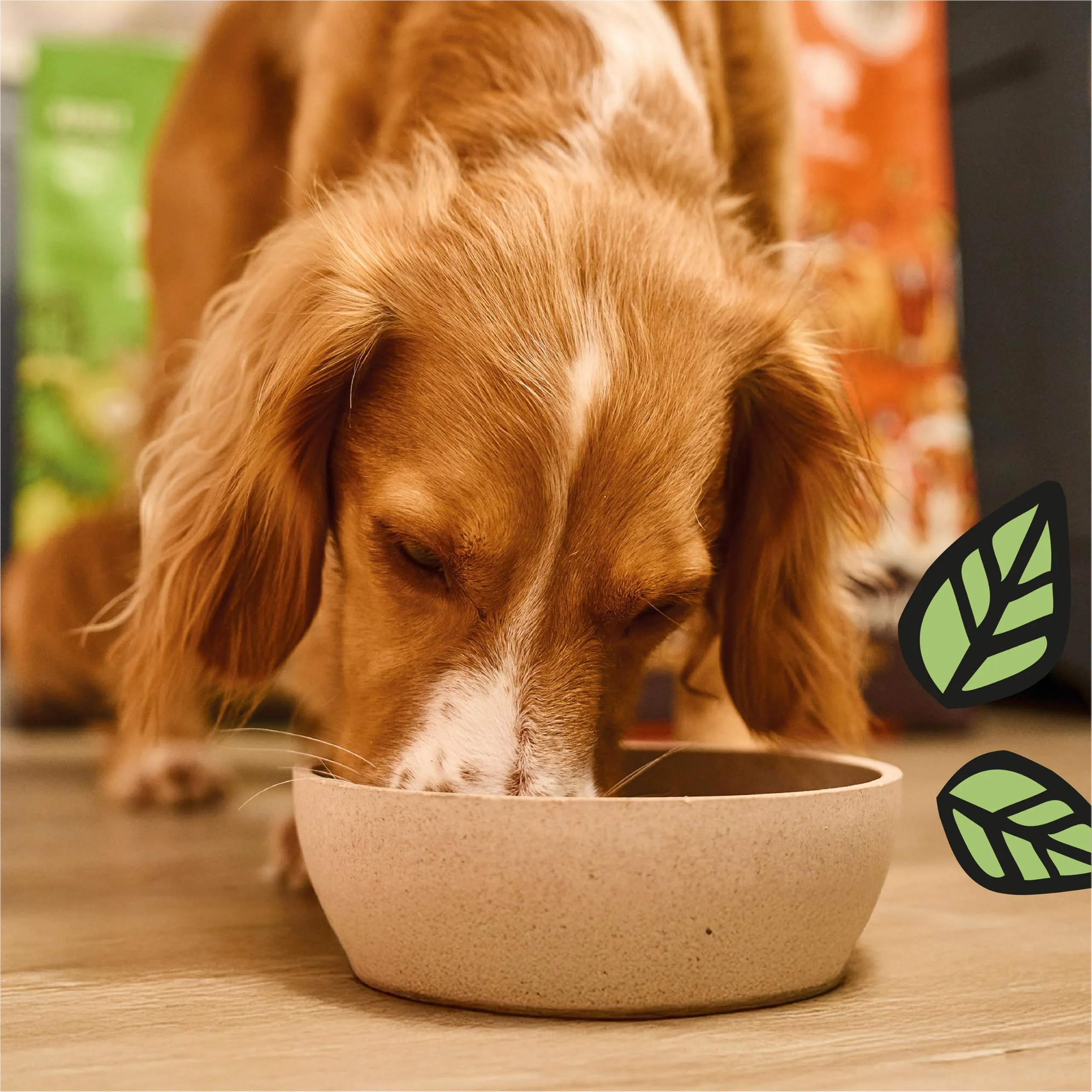 Lily's Kitchen Cibo secco per cani adulti senza cereali con pollo e anatra, 7kg - immagine 4