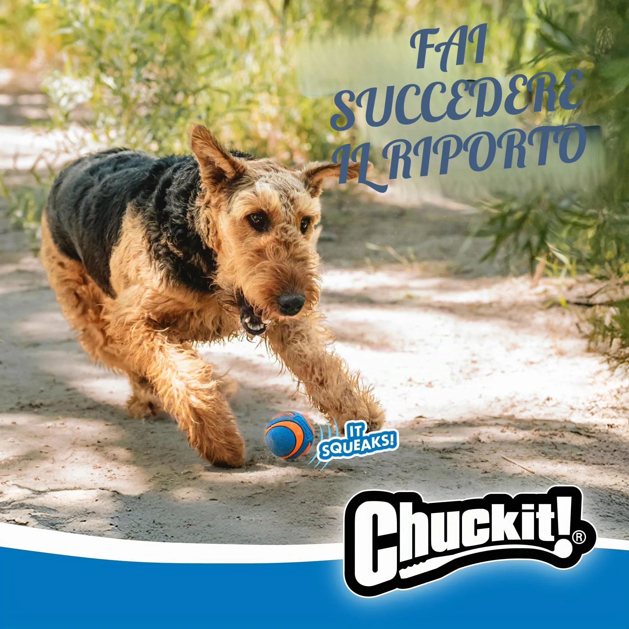 Chuckit! Ultra Squeaker Ball, Pack of 2 - immagine 9