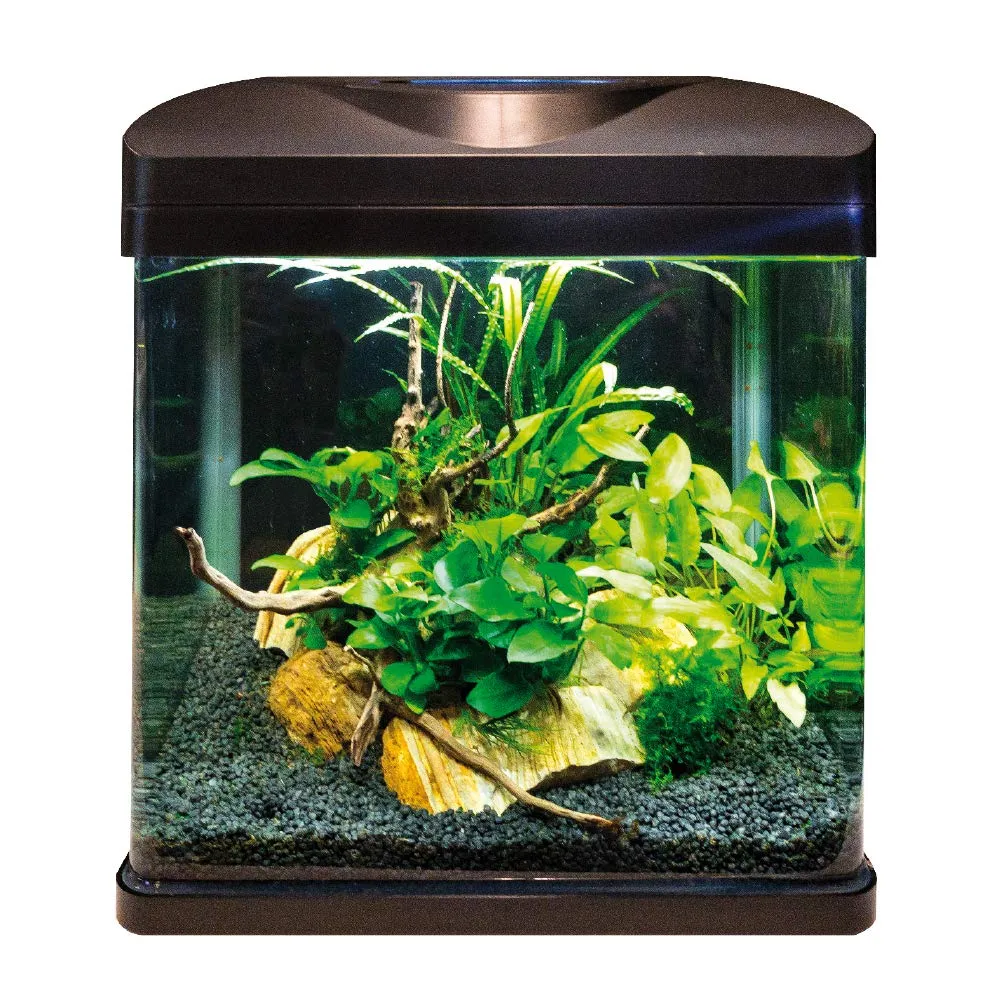 Amtra Laguna LED 40 - Acquario in vetro 30 litri con coperchio, illuminazione a LED e filtro, 38x26x41 cm - immagine 2