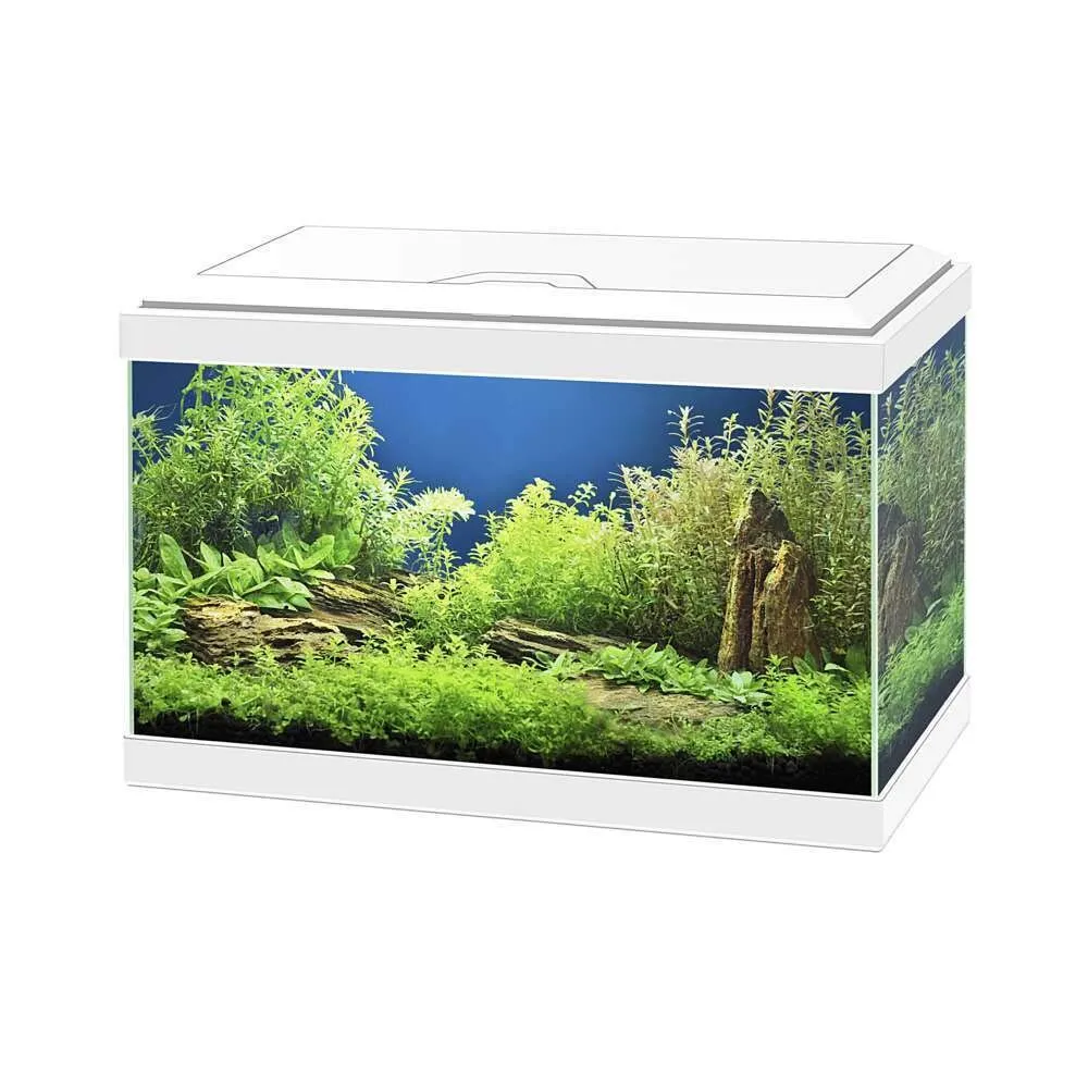 Askoll Aqua 20 Acquario Bianco con LED e Filtro, 17 Litri (40x20x31 cm) - immagine 2