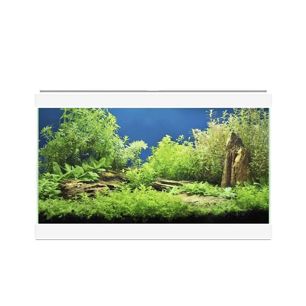 Askoll Aqua 20 Acquario Bianco con LED e Filtro, 17 Litri (40x20x31 cm) - immagine 3