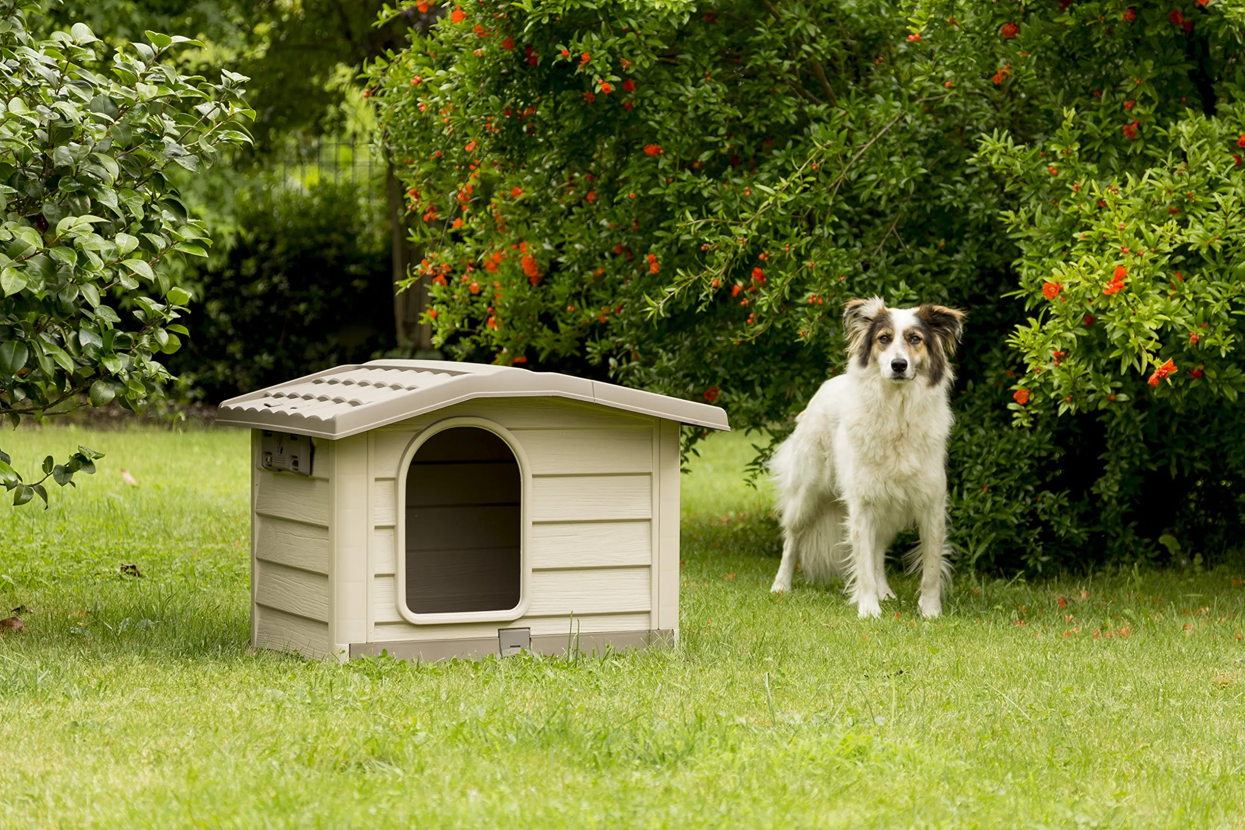 Bama Bungalow Dog House, Large, Beige, 110 x 94 x 77 cm - immagine 5