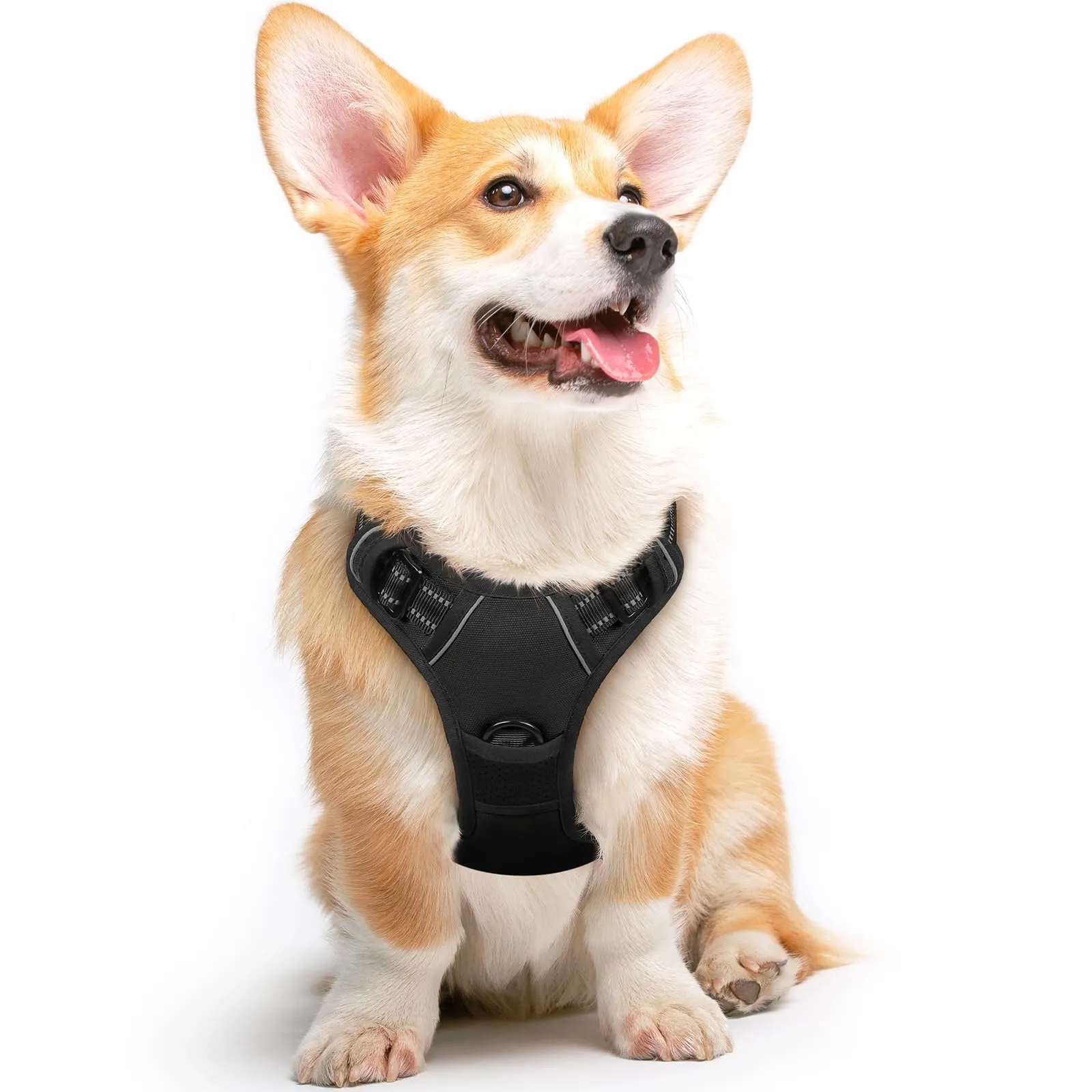 Eagloo Pettorina Cane Anti Tiro, Taglia M, Nera - immagine 1