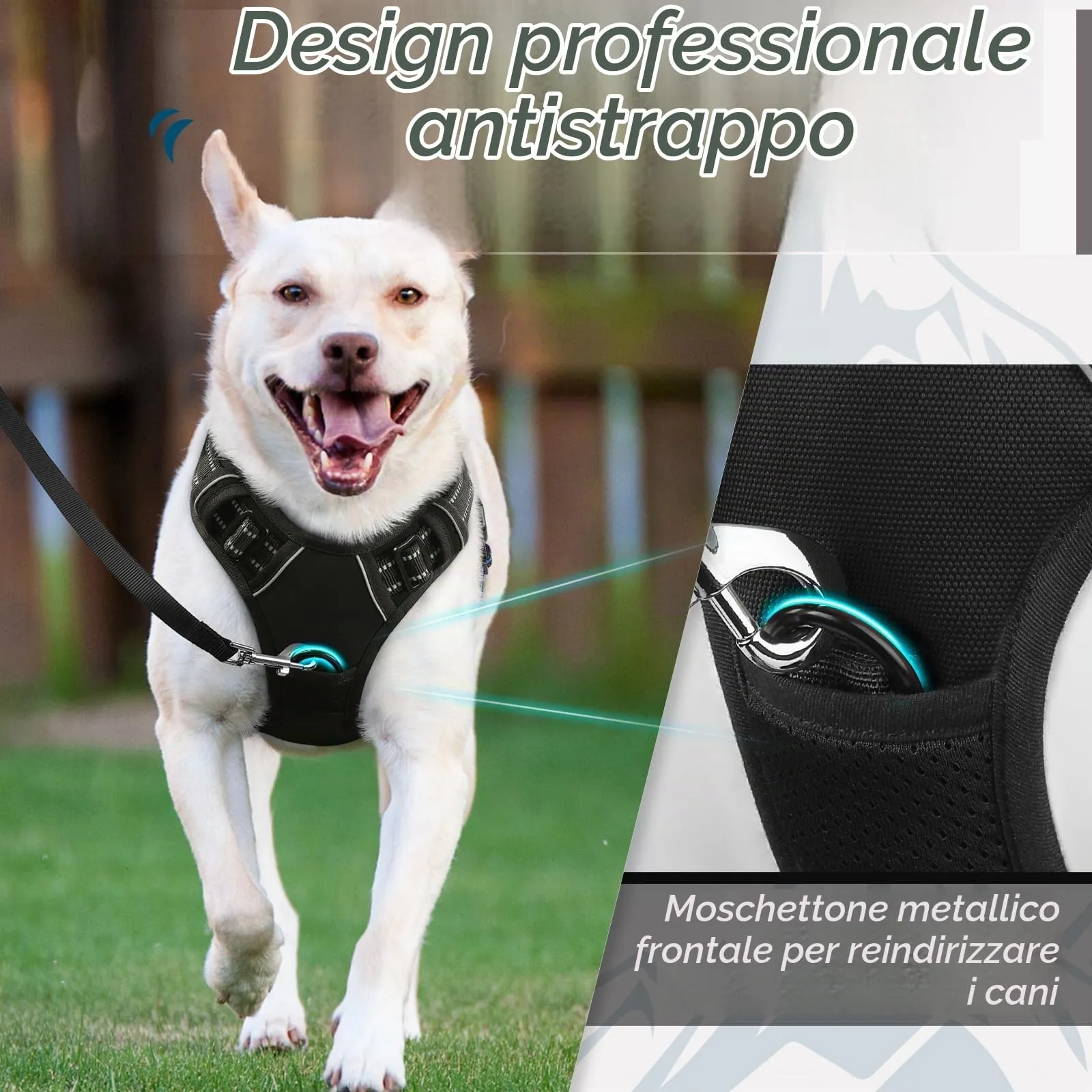 Eagloo Pettorina Cane Anti Tiro, Taglia M, Nera - immagine 3
