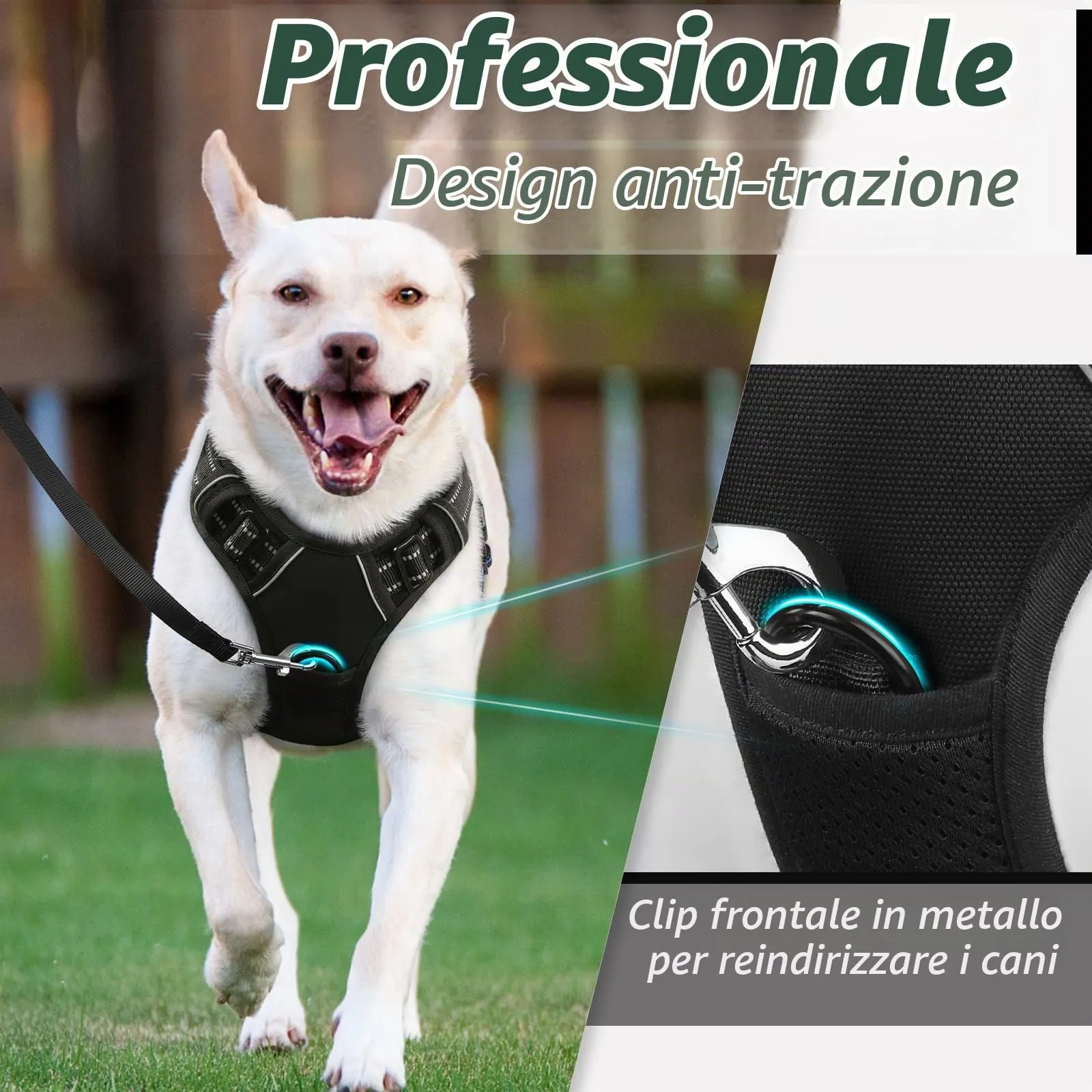 Eagloo Pettorina Cane ad H Anti Tiro, Nera, XL - immagine 3