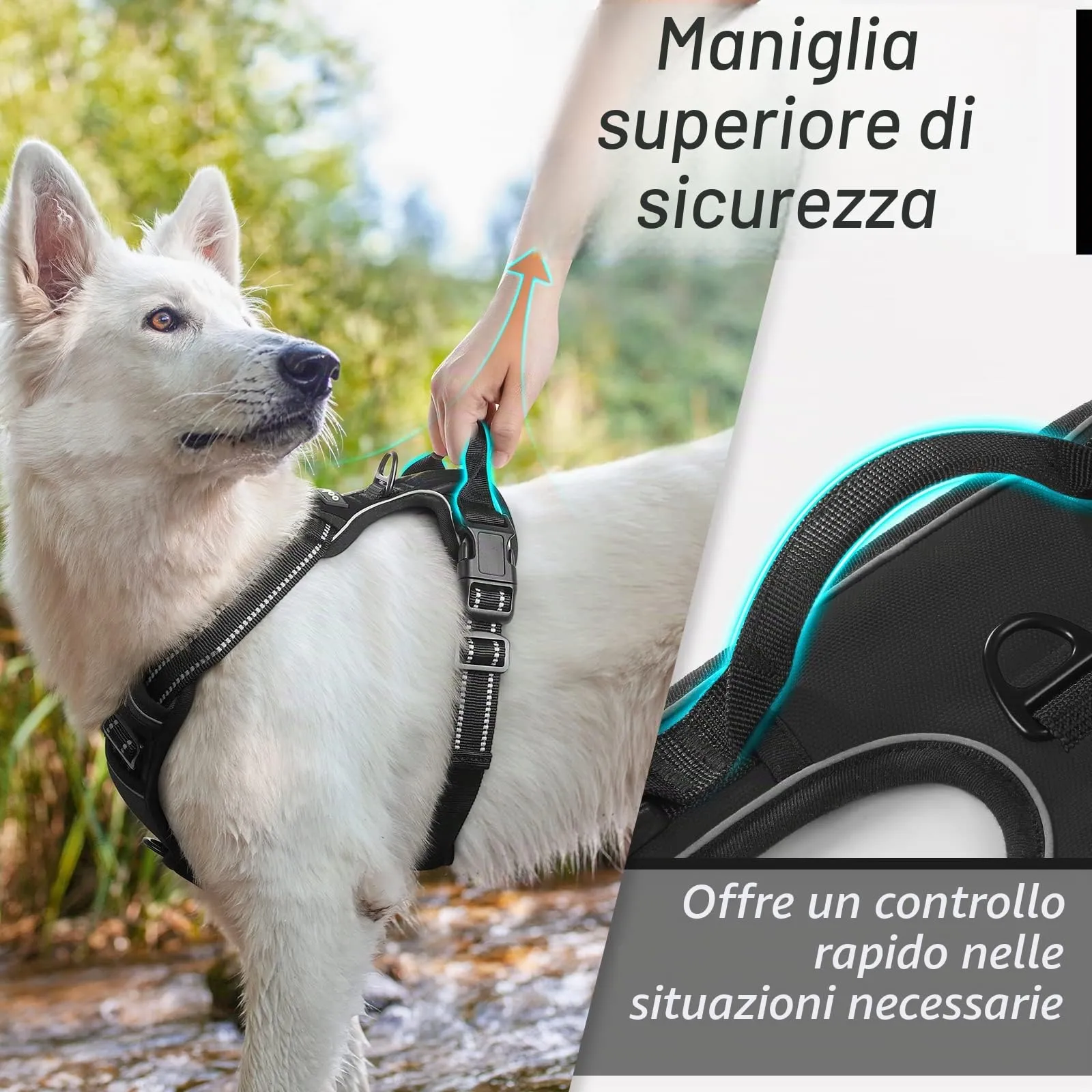 Eagloo Pettorina Cane ad H Anti Tiro, Nera, XL - immagine 5