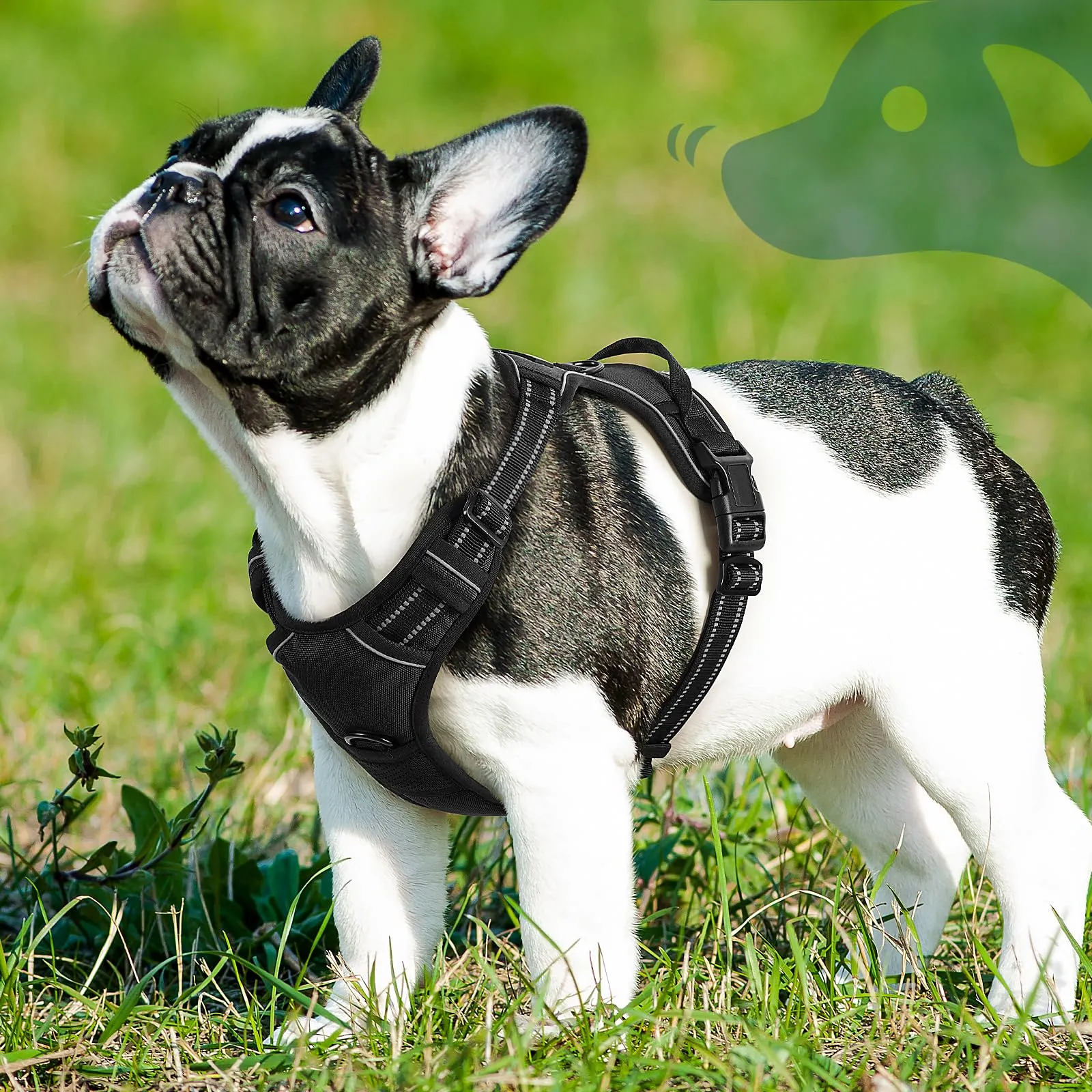 Eagloo Pettorina Cane Anti Tiro, Taglia S, Nera - immagine 8