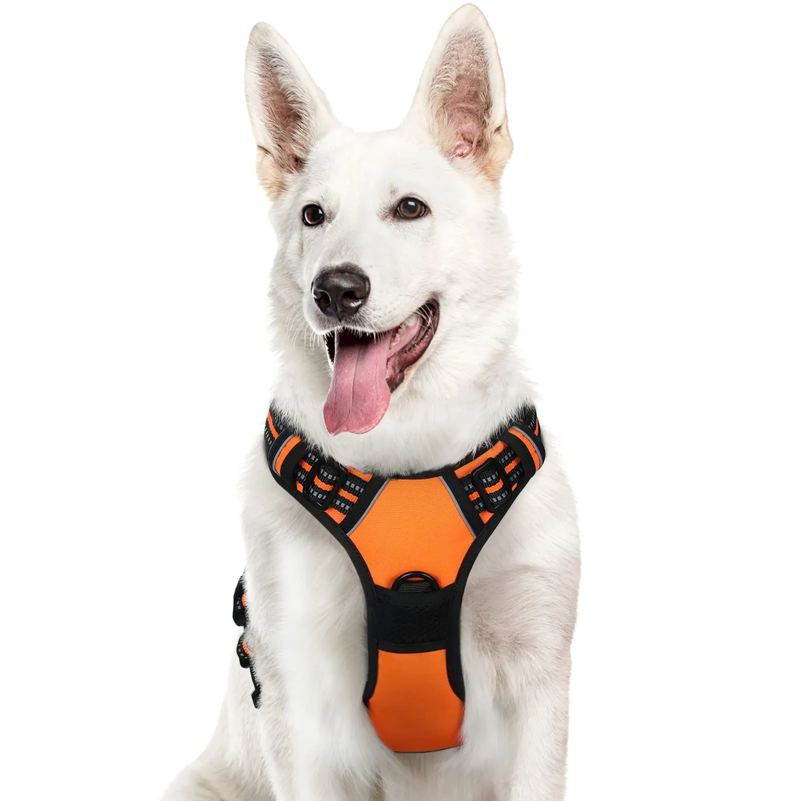Eagloo Pettorina Cane Anti Tiro, Arancio, XL - immagine 1