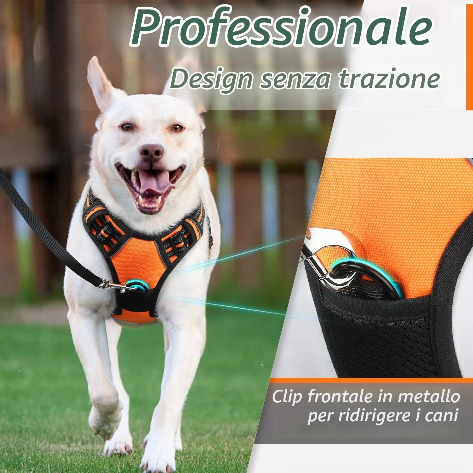 Eagloo Pettorina Cane Anti Tiro, Arancio, XL - immagine 3