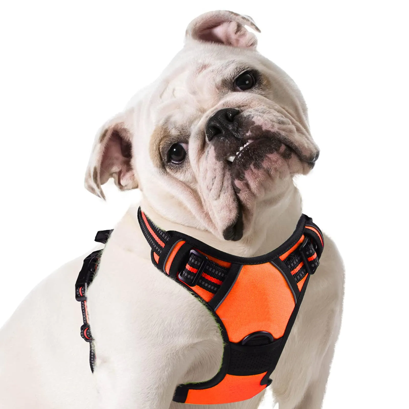 Eagloo Pettorina Cane Anti Tiro, Taglia M, Arancio - immagine 1