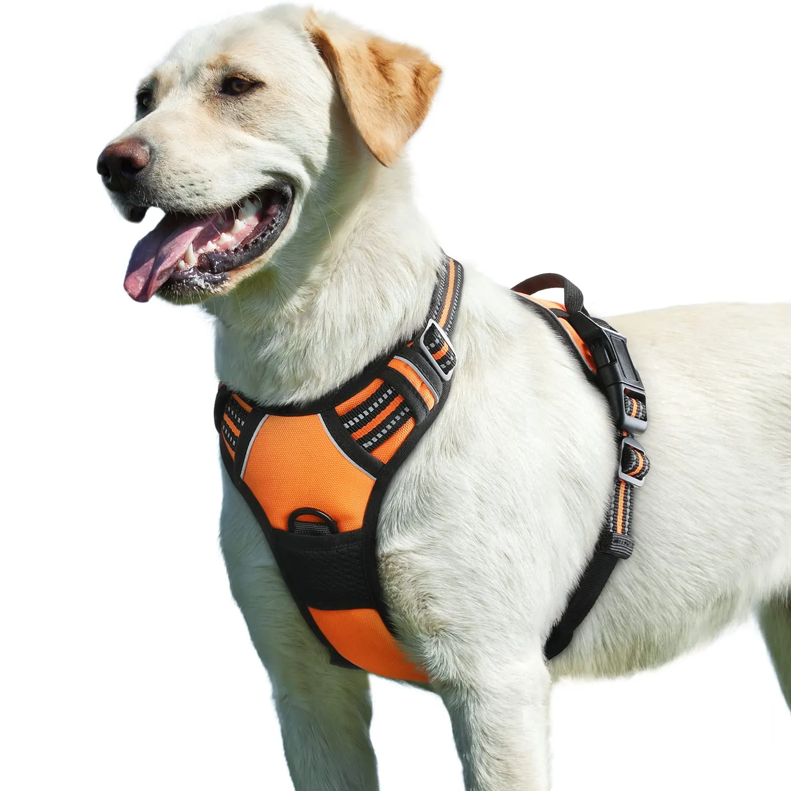Eagloo Pettorina Cane Anti Tiro, Arancio, Taglia L - immagine 1