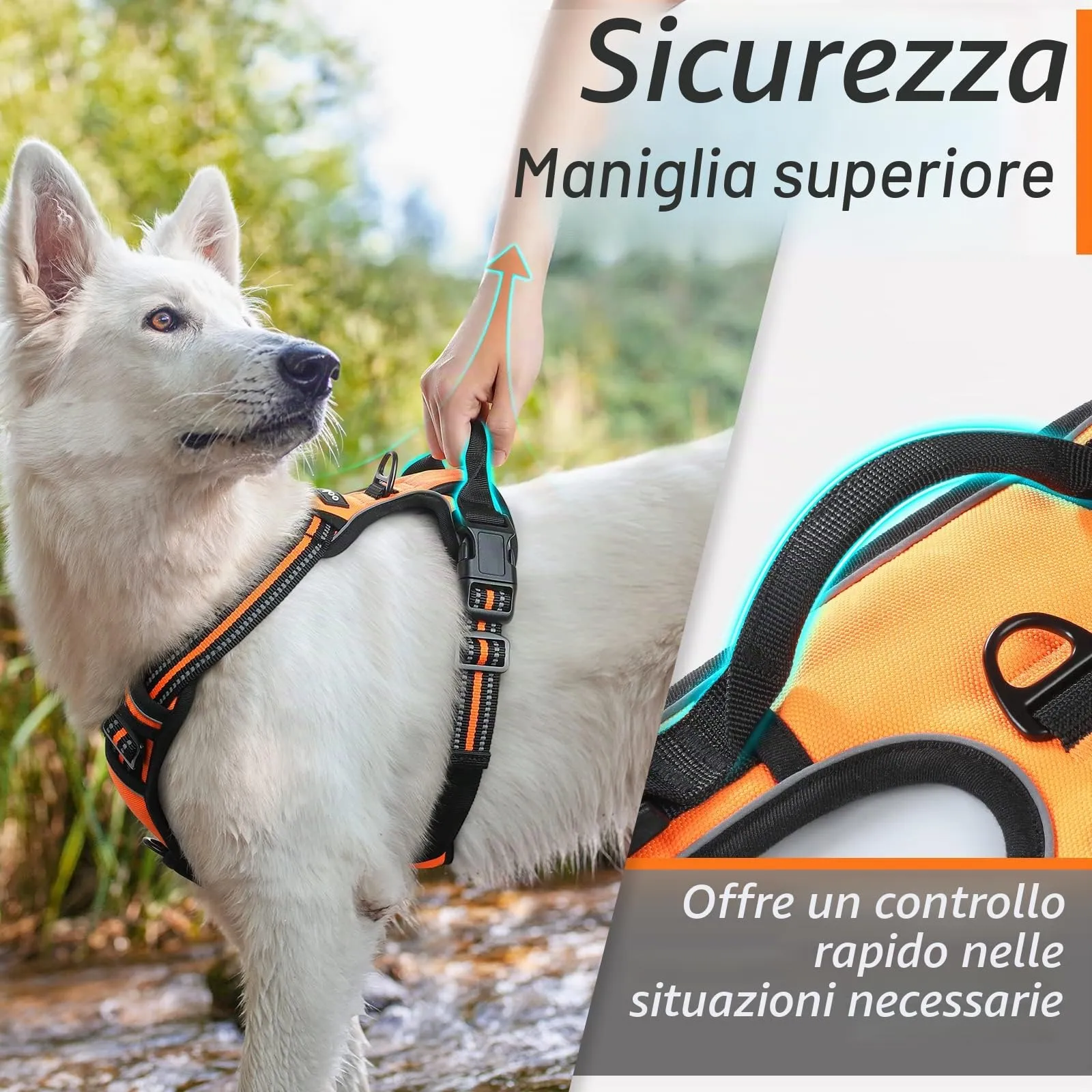 Eagloo Pettorina Cane Anti Tiro, Arancio, Taglia L - immagine 5