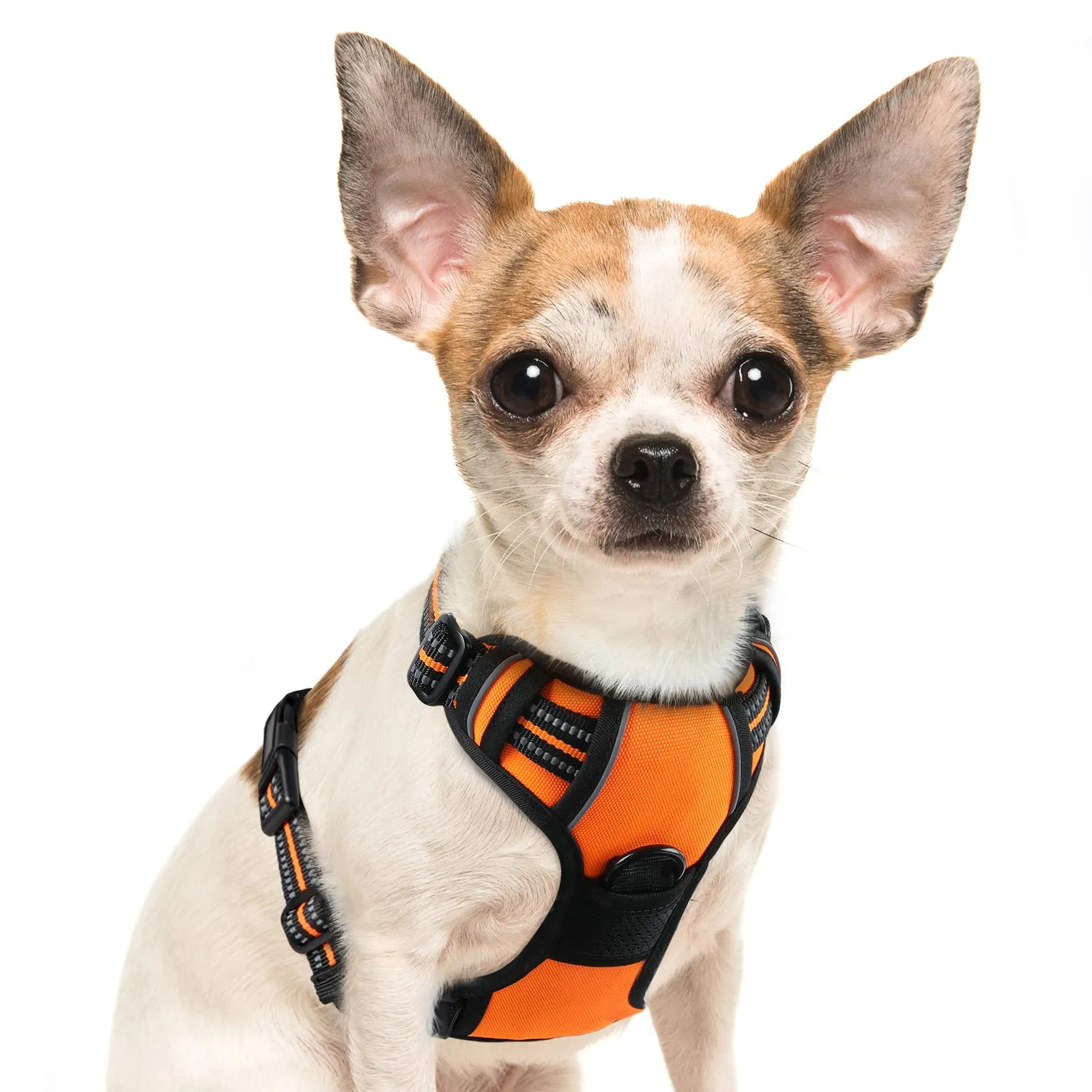 Eagloo Pettorina Cane ad H Anti Tiro, Arancio, Taglia S - immagine 1