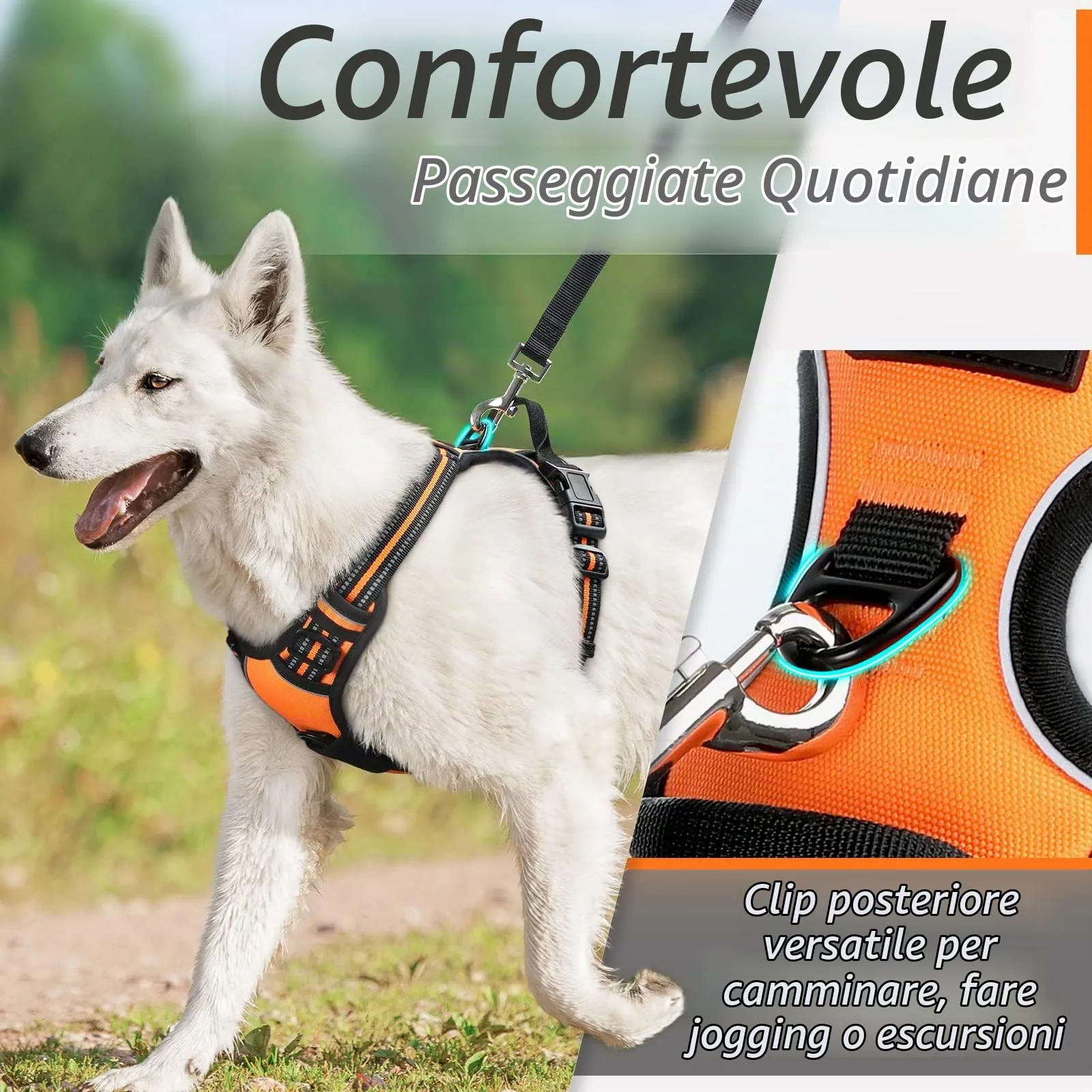 Eagloo Pettorina Cane ad H Anti Tiro, Arancio, Taglia S - immagine 4