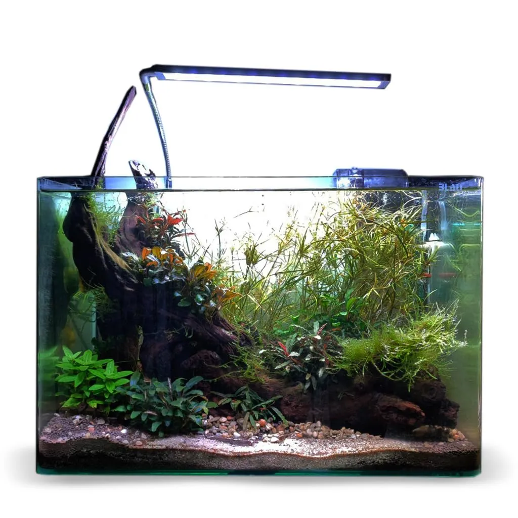 Blau Aquaristic Cubic Panoramic 31x18x24 cm 13 Litri - immagine 4