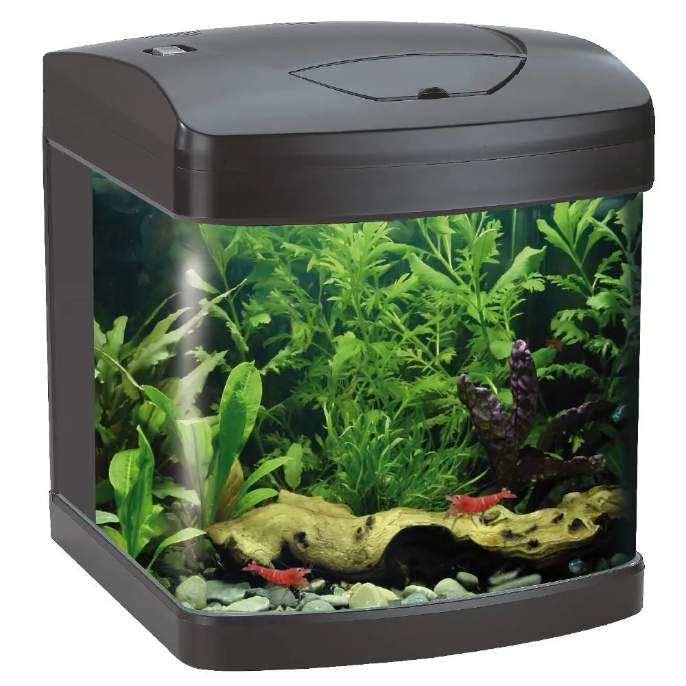 Croci Amtra Laguna XCUBE 26 LED Black Aquarium with LED Lighting and Filter, 31x32x37 cm, 26 Liters - immagine 1