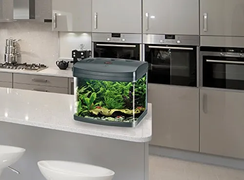Croci Amtra Laguna XCUBE 26 LED Black Aquarium with LED Lighting and Filter, 31x32x37 cm, 26 Liters - immagine 4
