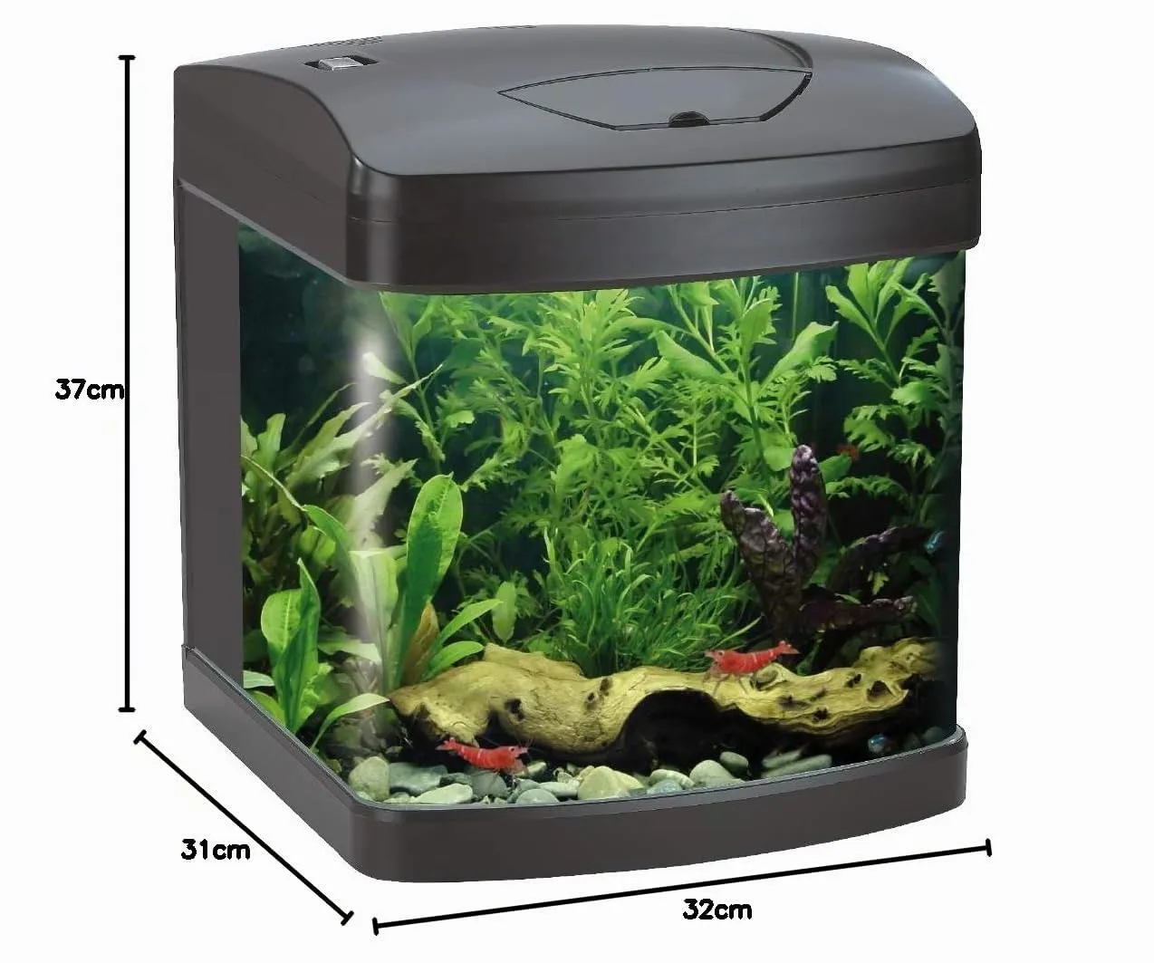 Croci Amtra Laguna XCUBE 26 LED Black Aquarium with LED Lighting and Filter, 31x32x37 cm, 26 Liters - immagine 6