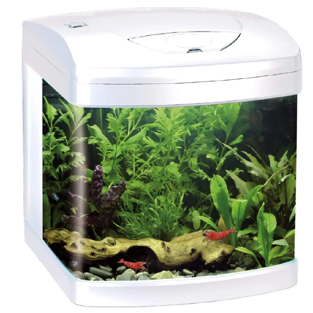 Amtra Laguna LED 50 Acquario in vetro 40 litri con coperchio, illuminazione LED e filtro, 48x27x45 cm - immagine 1