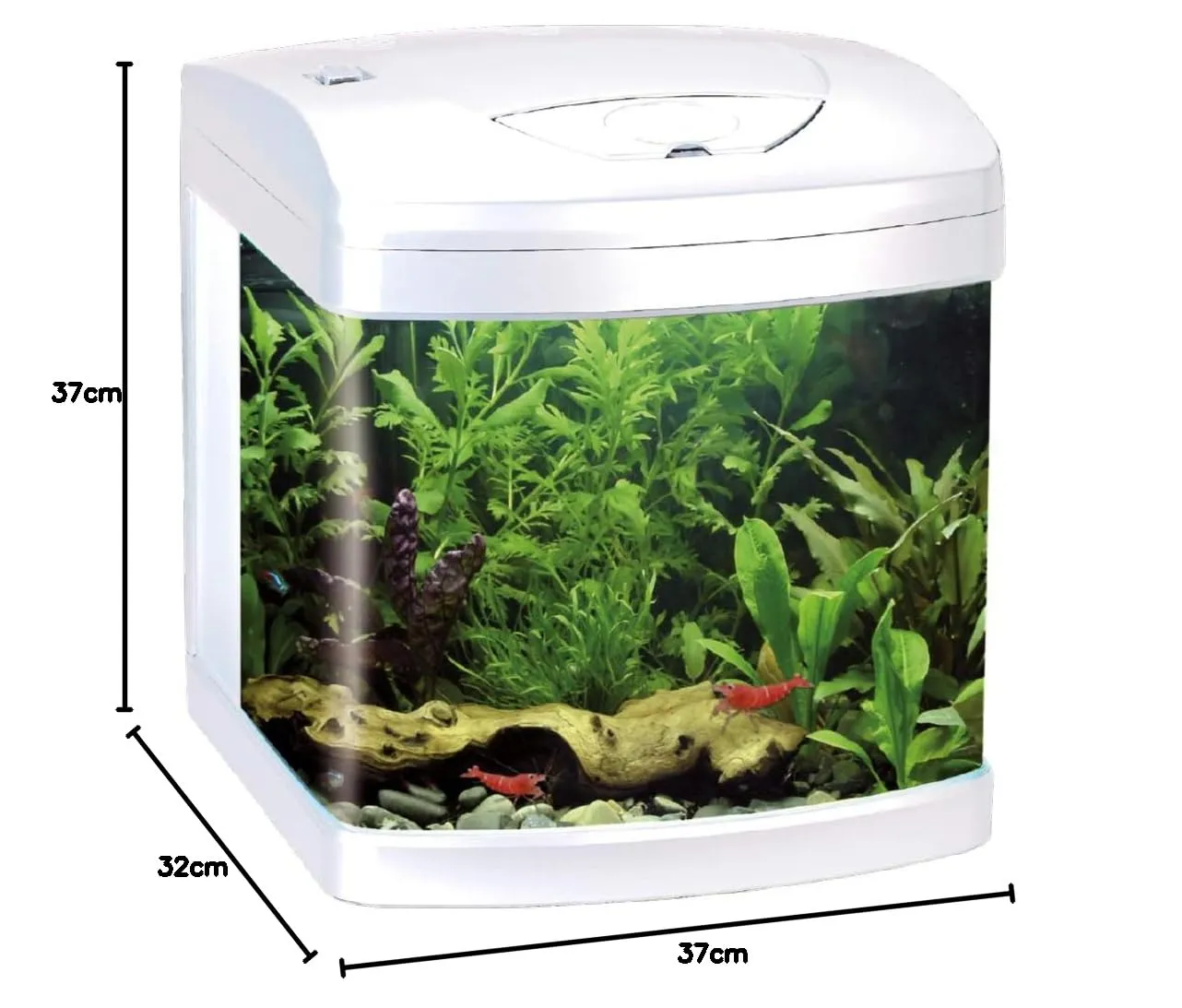 Amtra Laguna LED 50 Acquario in vetro 40 litri con coperchio, illuminazione LED e filtro, 48x27x45 cm - immagine 6