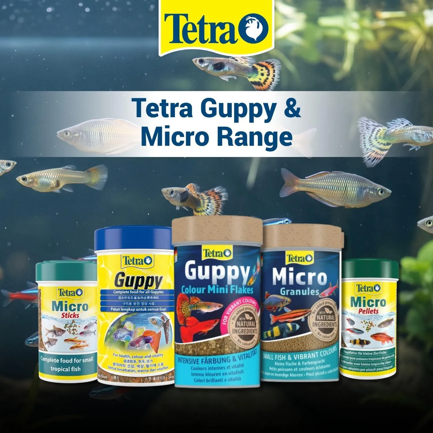 Tetra Guppy Colour, Mangime per Guppy, 100 ml - immagine 2