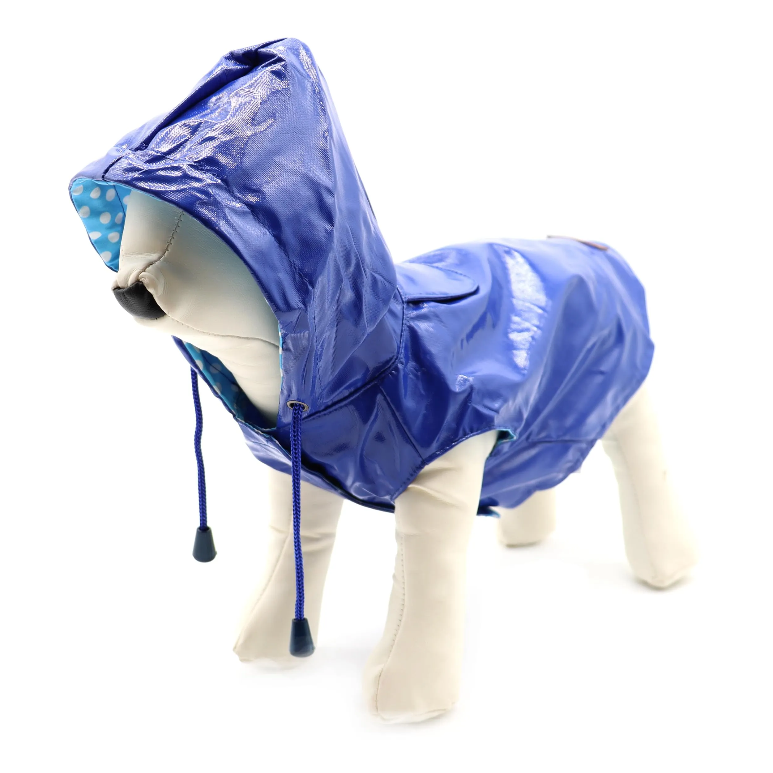Croci Raindrop Blue Impermeabile per Cani, Cappotto Antivento con Cappuccio e Foro per Guinzaglio, Blu, 30 cm - immagine 4