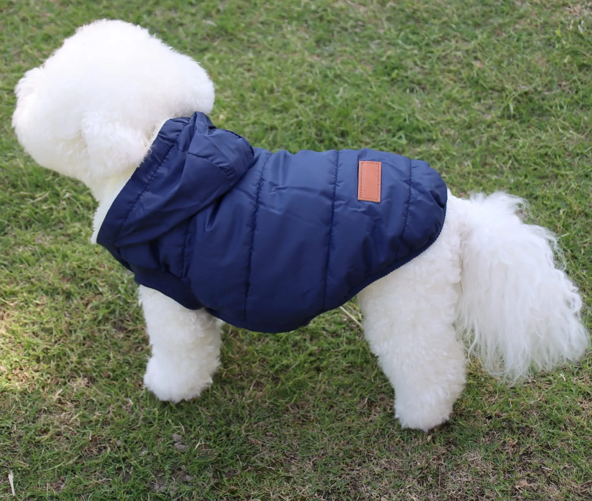 JoyDaog Cappottino Invernale per Cani con Cappuccio, Foderato in Pile, Blu L - immagine 9