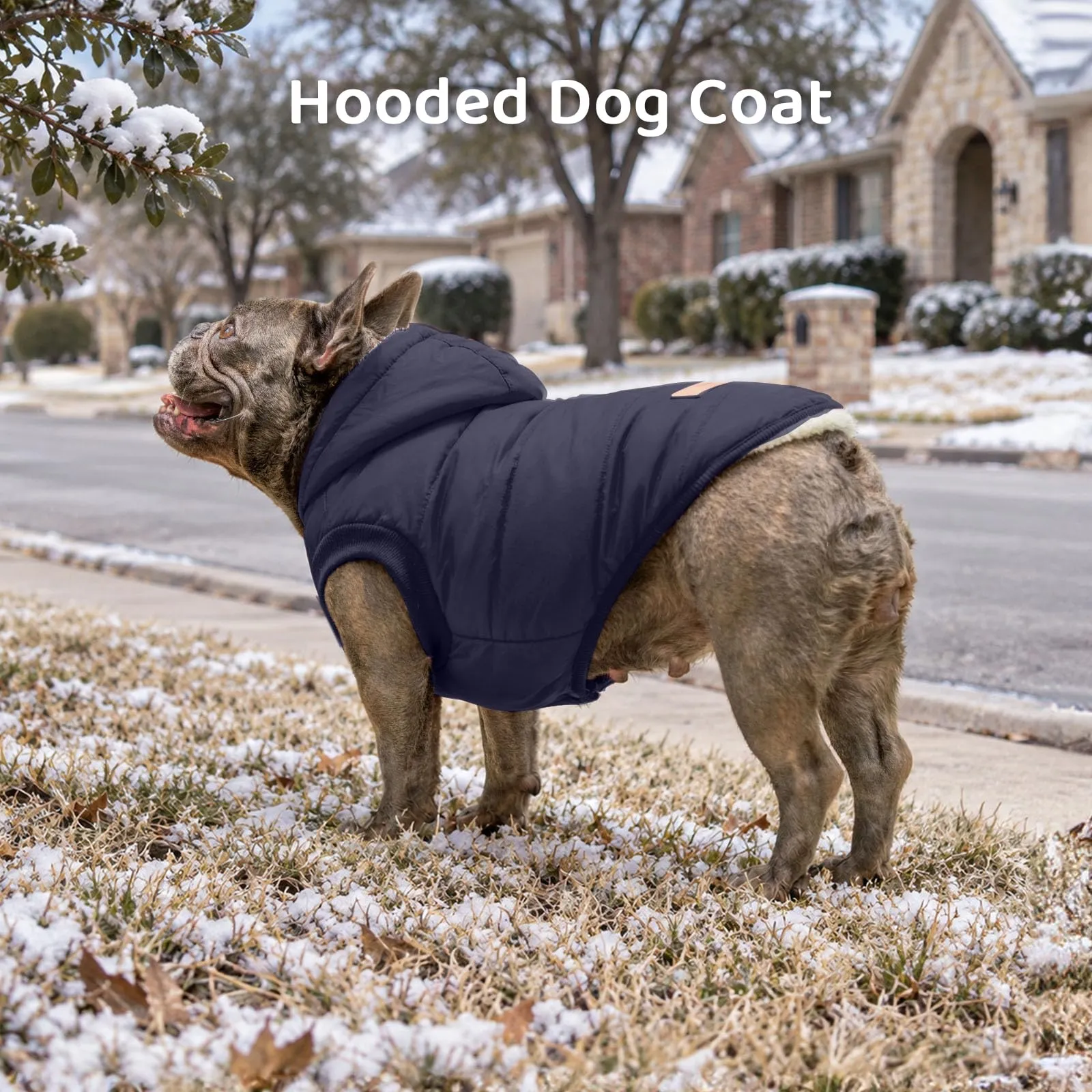 JoyDaog Cappottino Invernale per Cani con Cappuccio, Foderato in Pile, Blu, XS - immagine 3