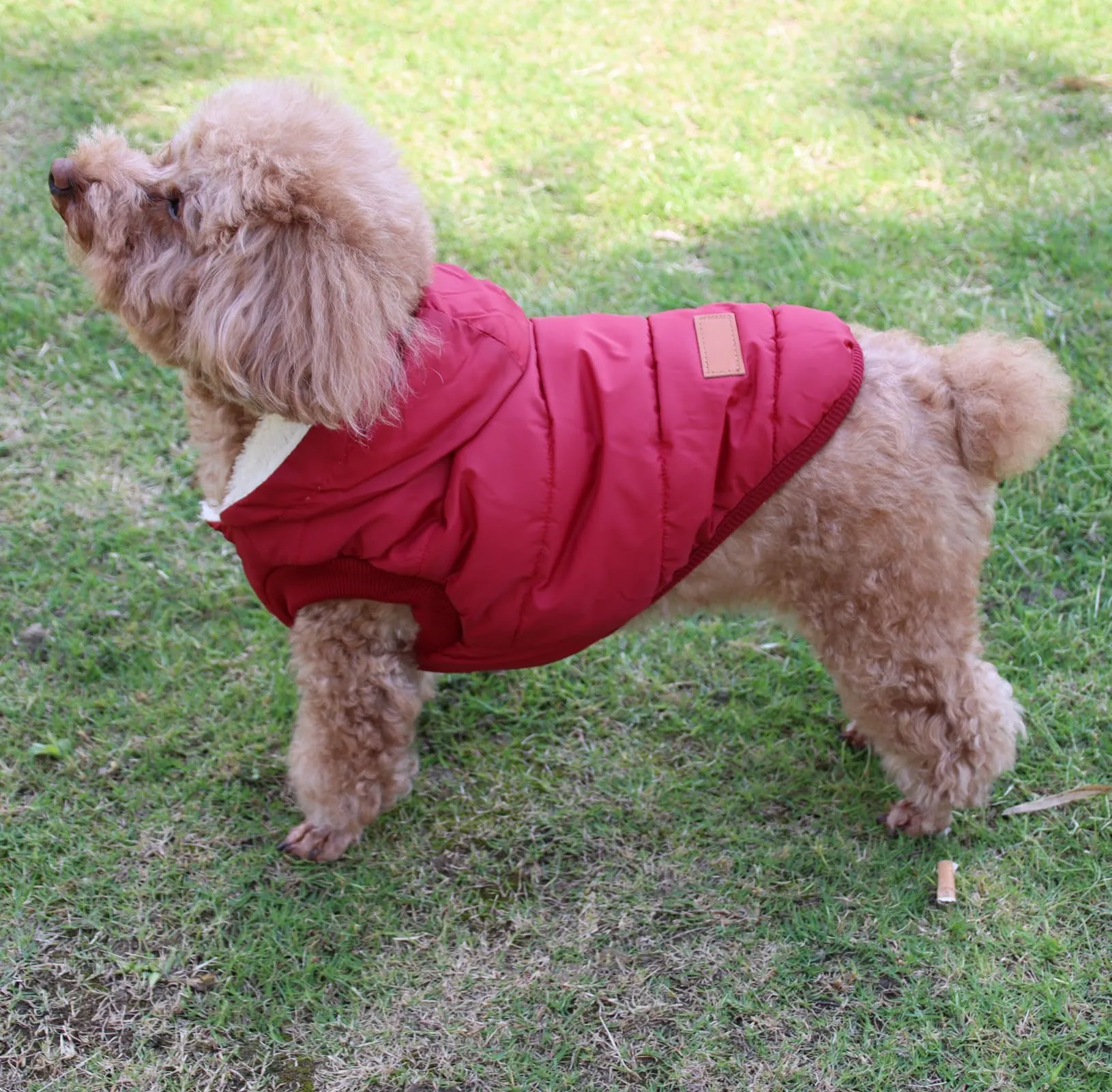 JoyDaog Cappottino Invernale per Cani con Cappuccio, Foderato in Pile, Rosso L - immagine 9