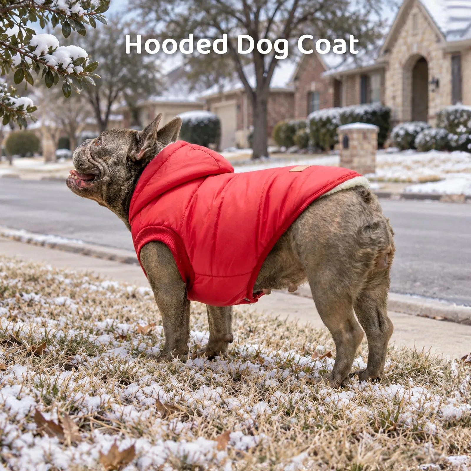 JoyDaog Cappottino invernale per cani con cappuccio foderato in pile, Rosso, M - immagine 3