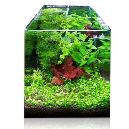 Blau Aquaristic Cubic Panoramic 20 x 20 x 25 cm 10 Litri - immagine 5