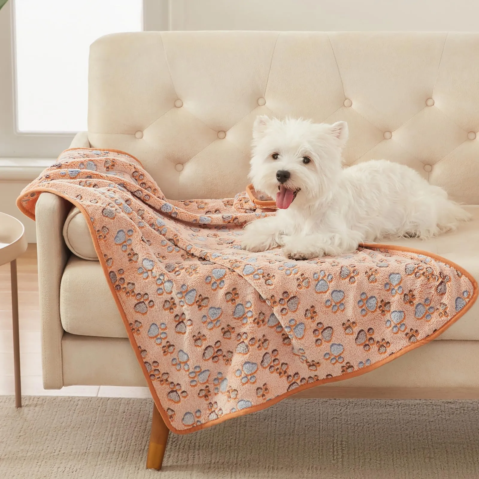luciphia Coperta per Cane e Gatto in Flanella, Zampa, Medium (76 x 52cm), 3 Pezzi - immagine 3