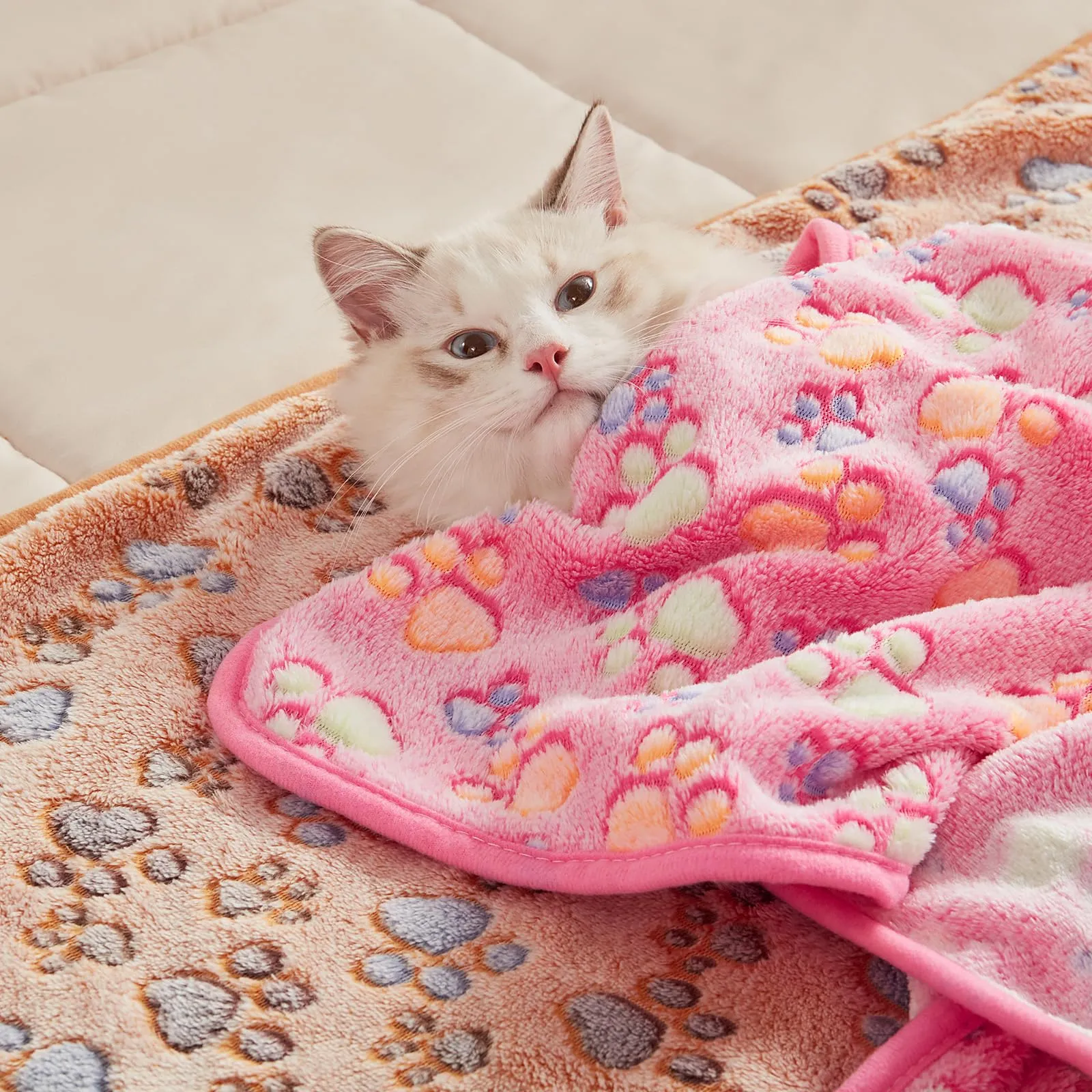 luciphia Coperta per Cane e Gatto in Flanella, Zampa, Medium (76 x 52cm), 3 Pezzi - immagine 7