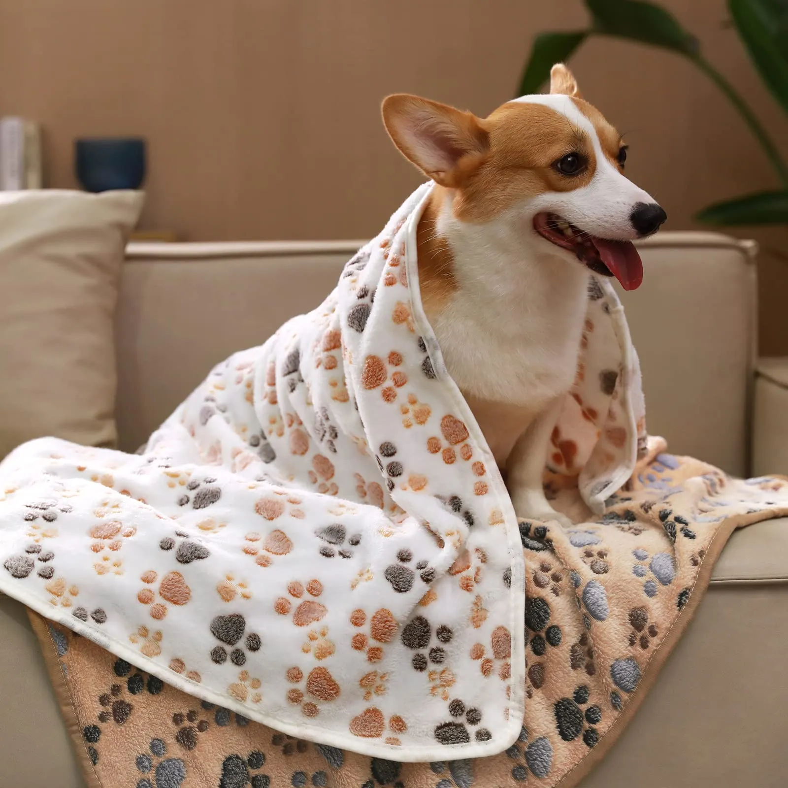 luciphia Coperta per Cane e Gatto in Flanella, Zampa, Large (104 x 76cm), 3 Pezzi - immagine 6