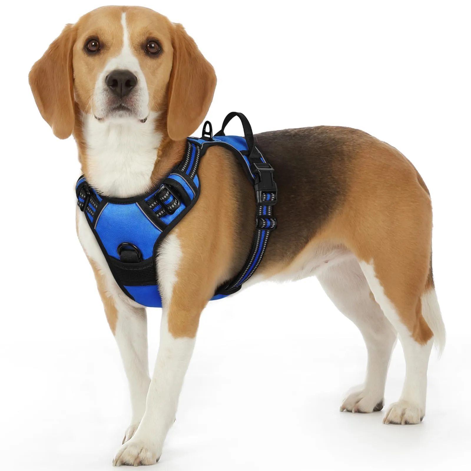 Eagloo Pettorina Cane ad H Anti Tiro, Blu, Taglia S - immagine 1